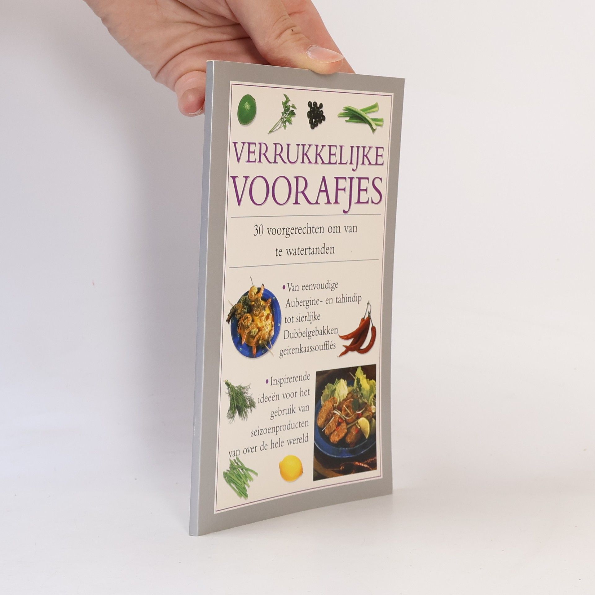 Kolektiv autorů Verrukkelijke Voorafjes