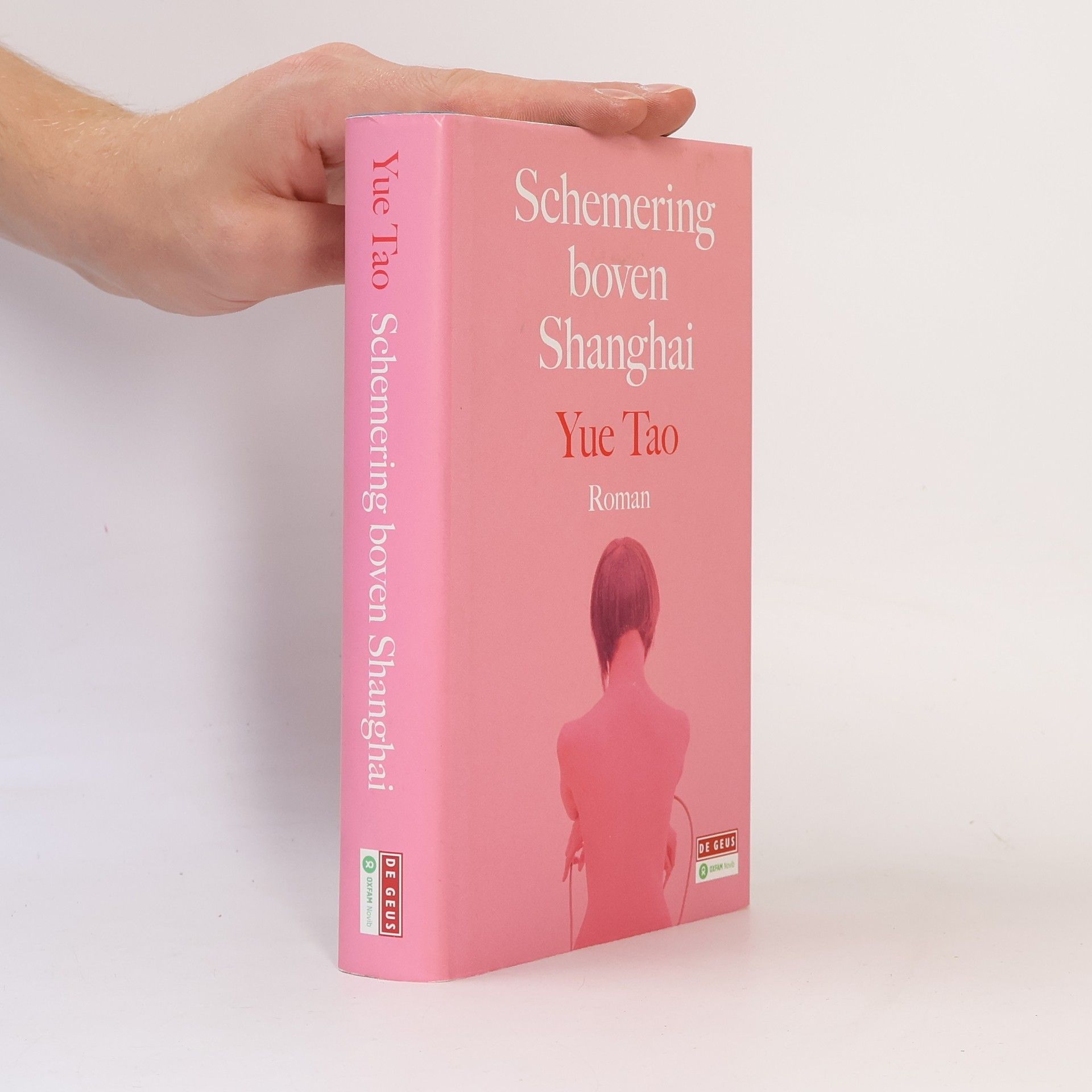 Annelous Stiggelbout Schemering boven Shanghai