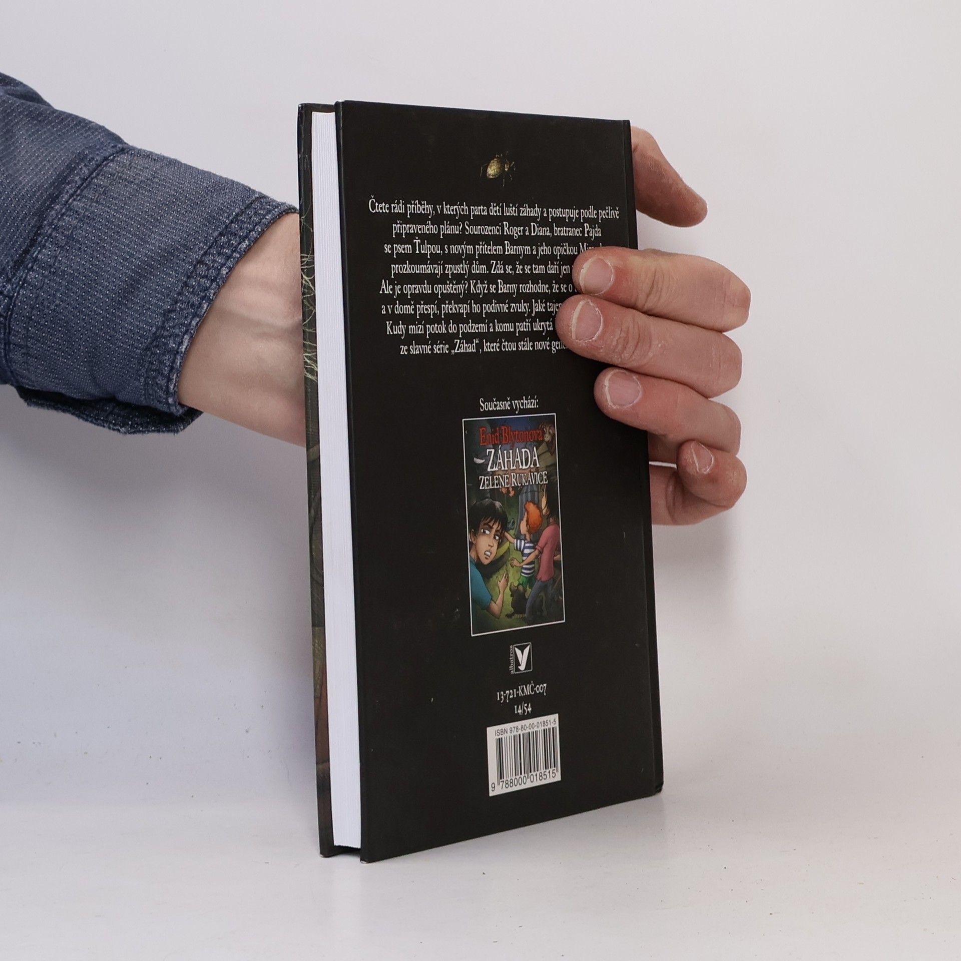 Enid Blyton Záhada Pavoučího domu