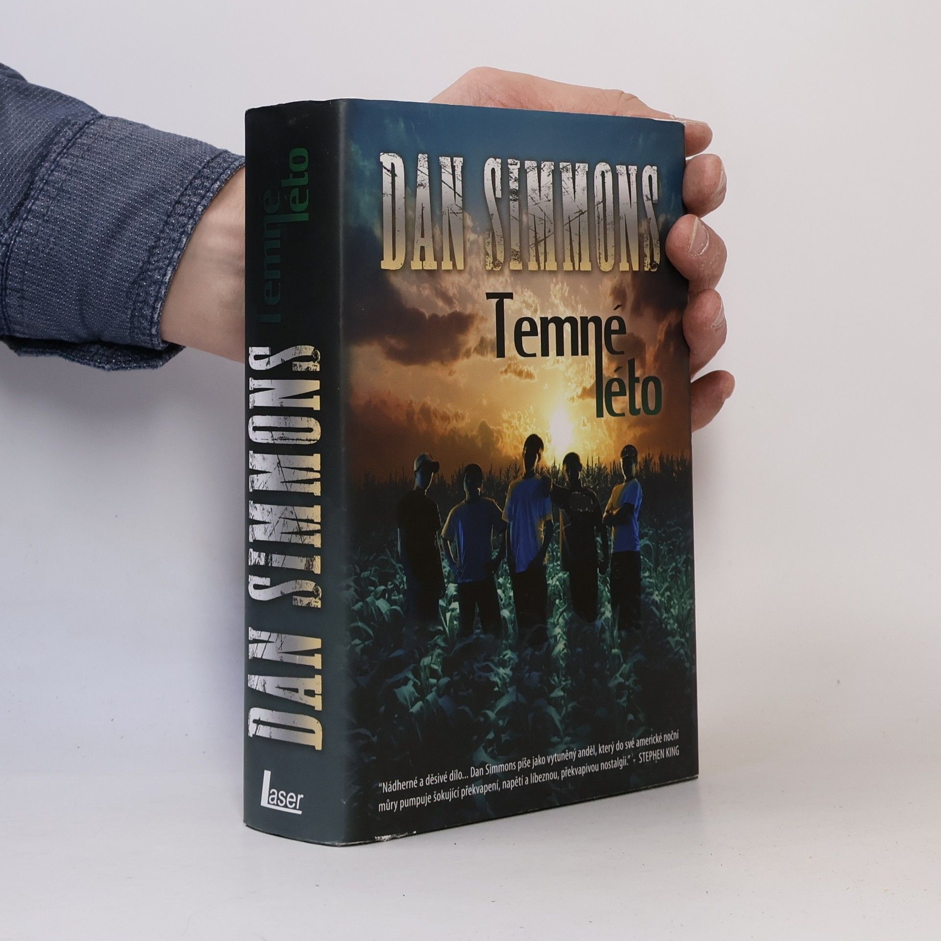 Dan Simmons Temné léto