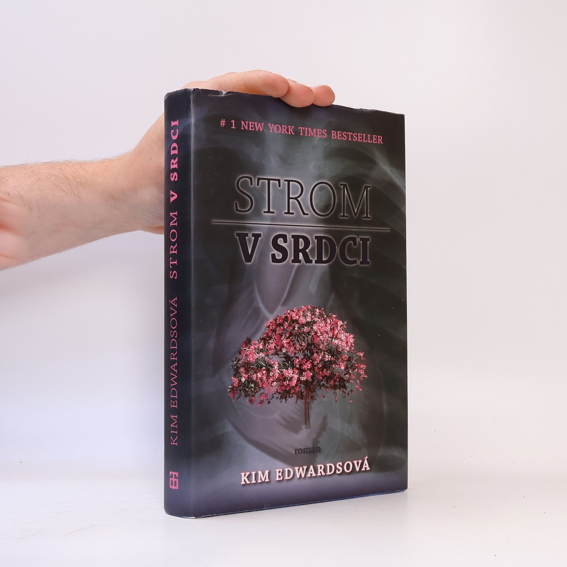 Kim Edwards Strom v srdci