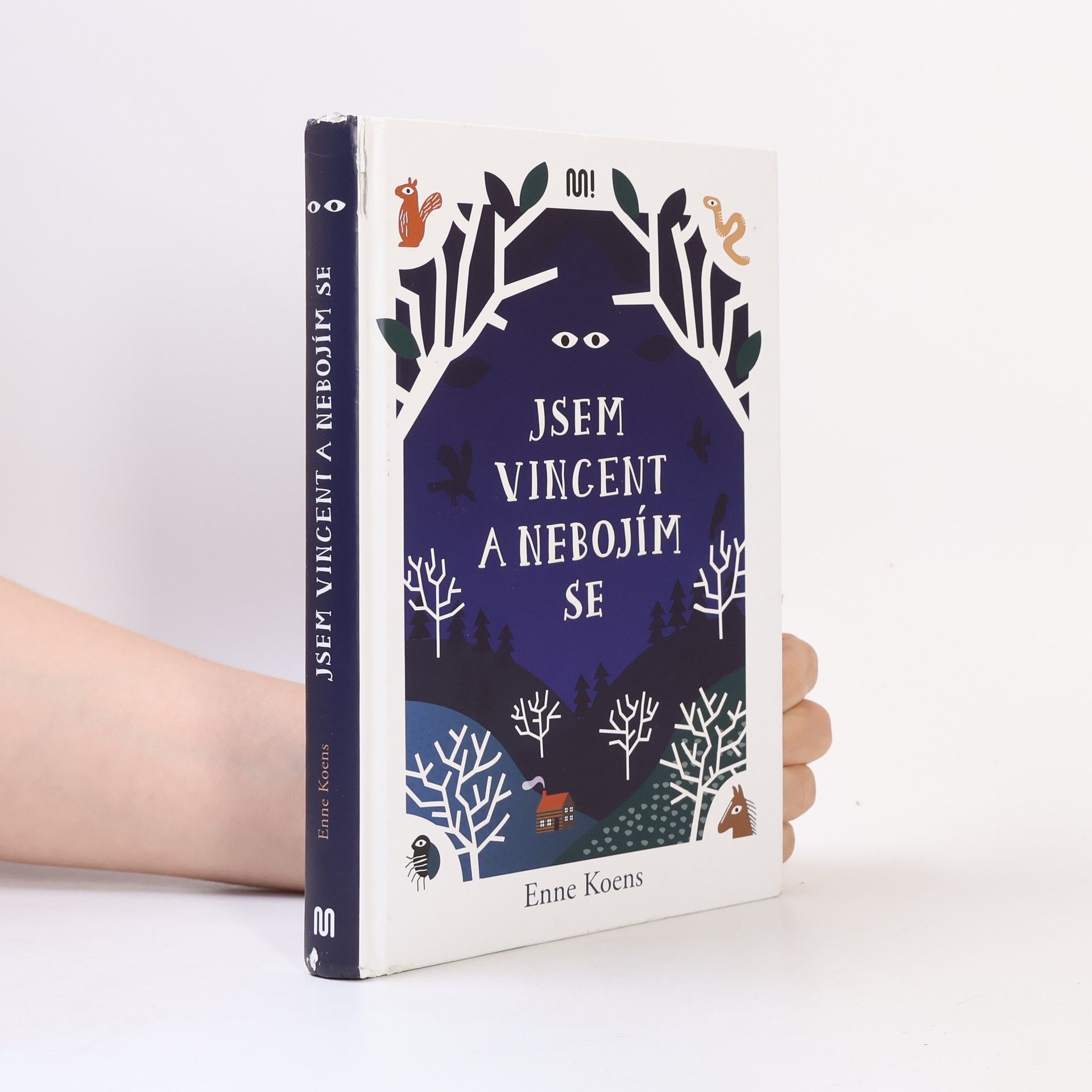 Enne Koens Jsem Vincent a nebojím se
