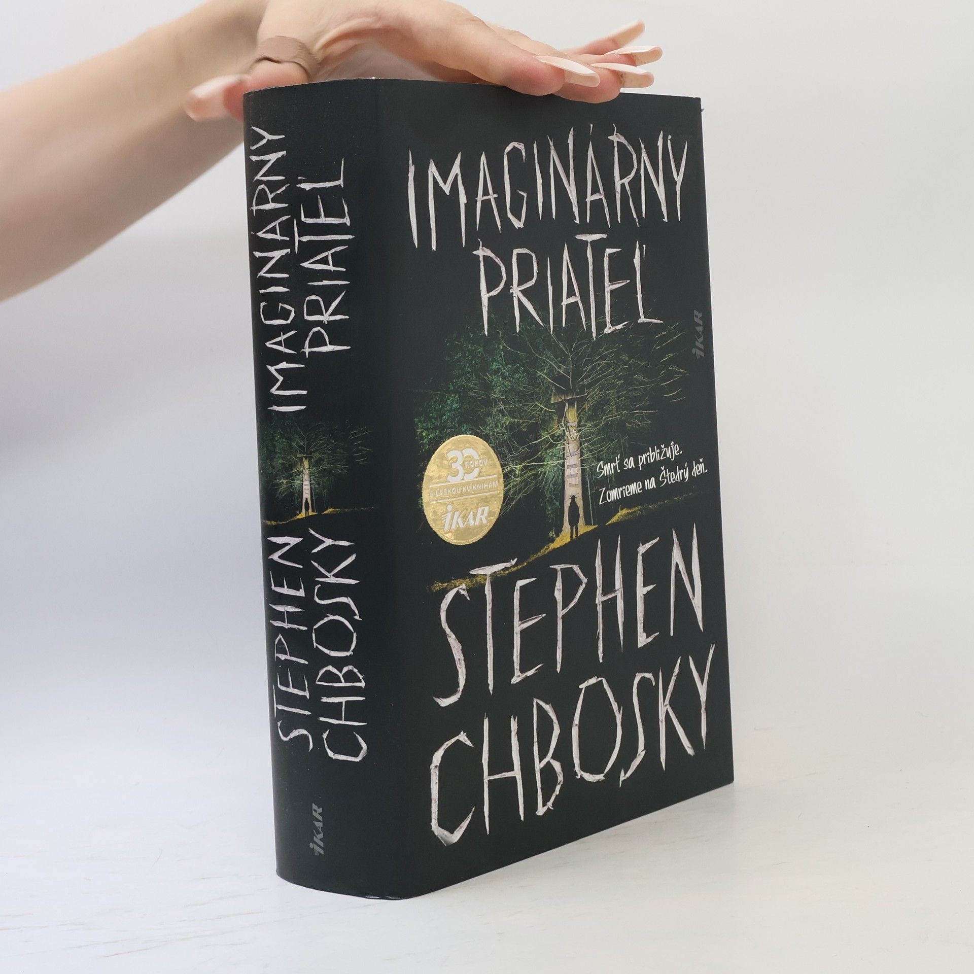 Stephen Chbosky Imaginárny priateľ