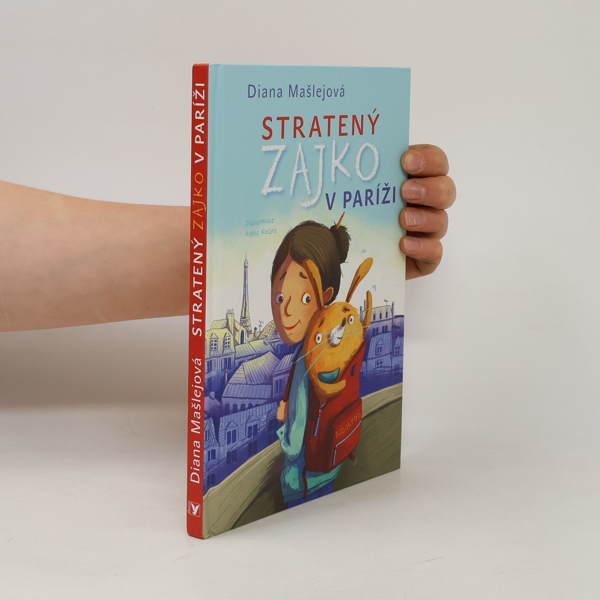 Diana Mašlejová Stratený zajko v Paríži