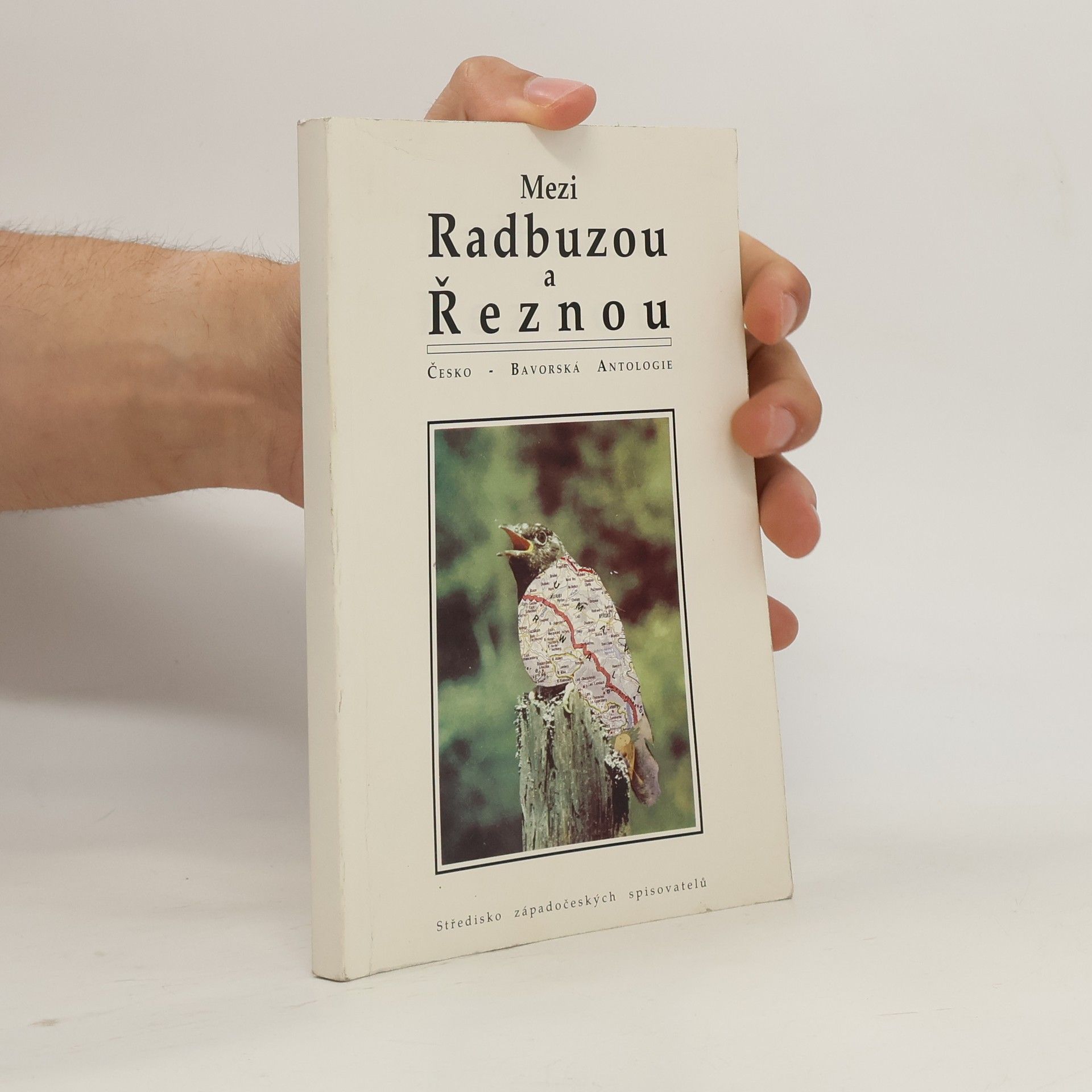 Autorenkollektiv Mezi Radbuzou a Řeznou : Česko-bavorská antologie