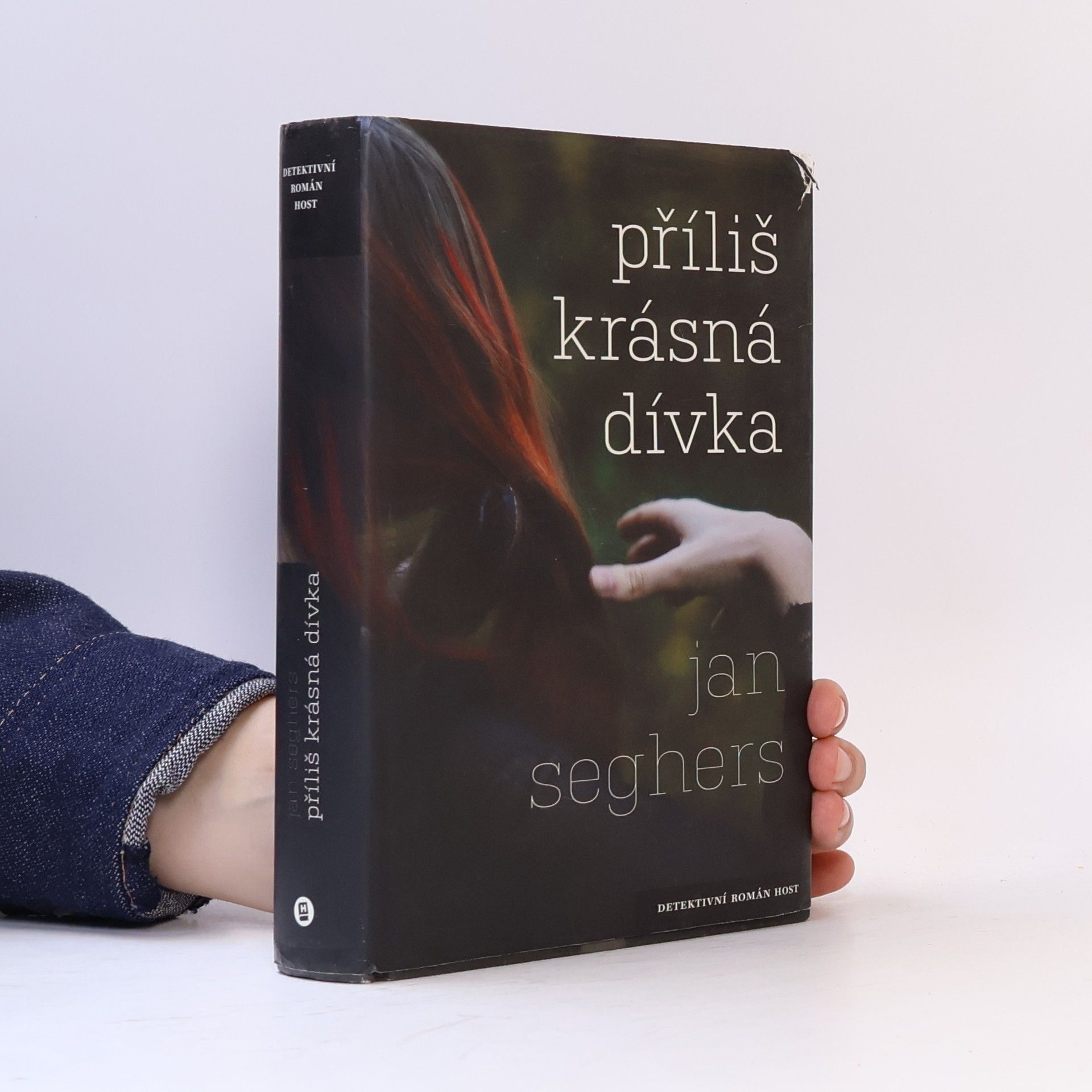 Jan Seghers Příliš krásná dívka