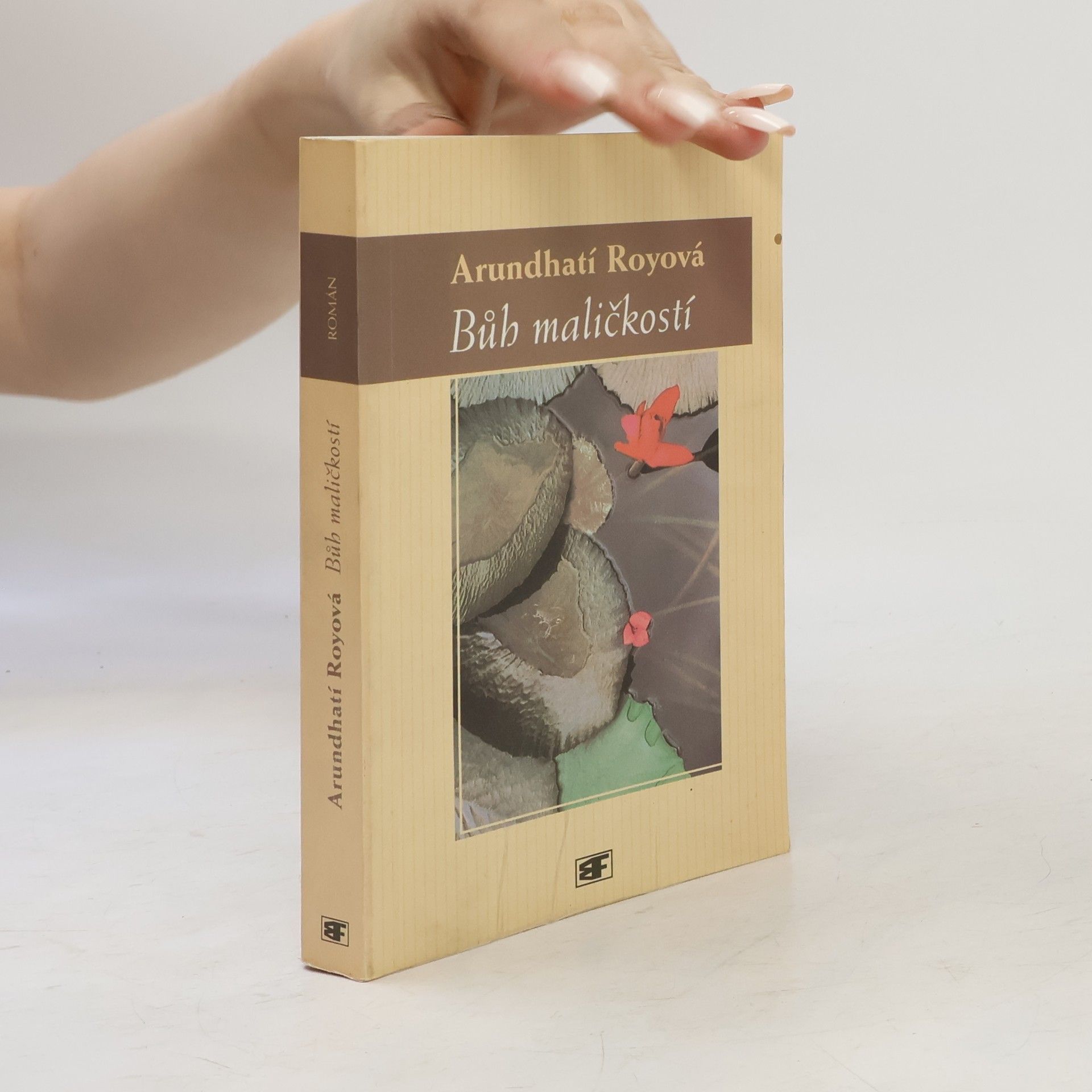 Arundhati Roy Bůh maličkostí