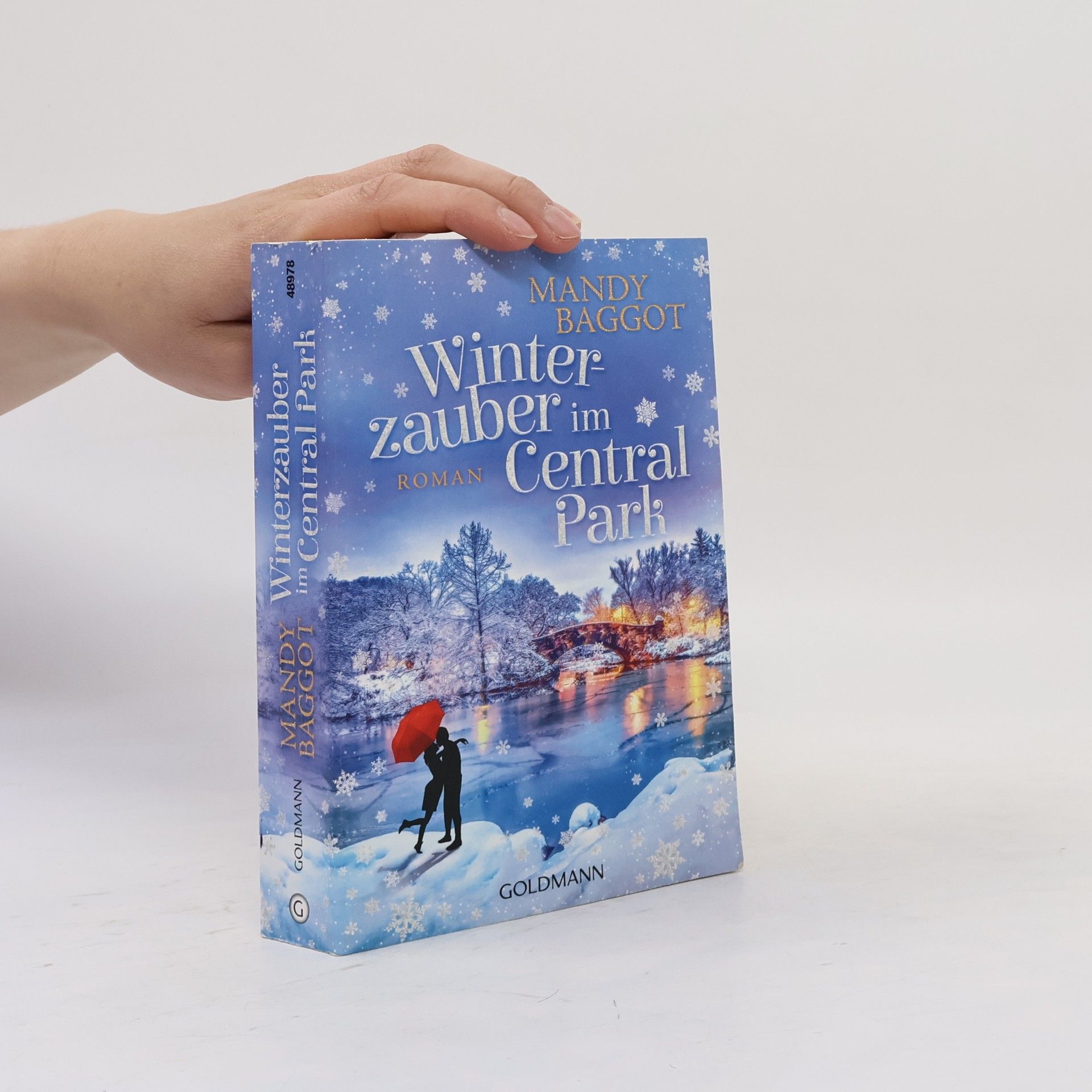 Mandy Baggot Winterzauber im Central Park