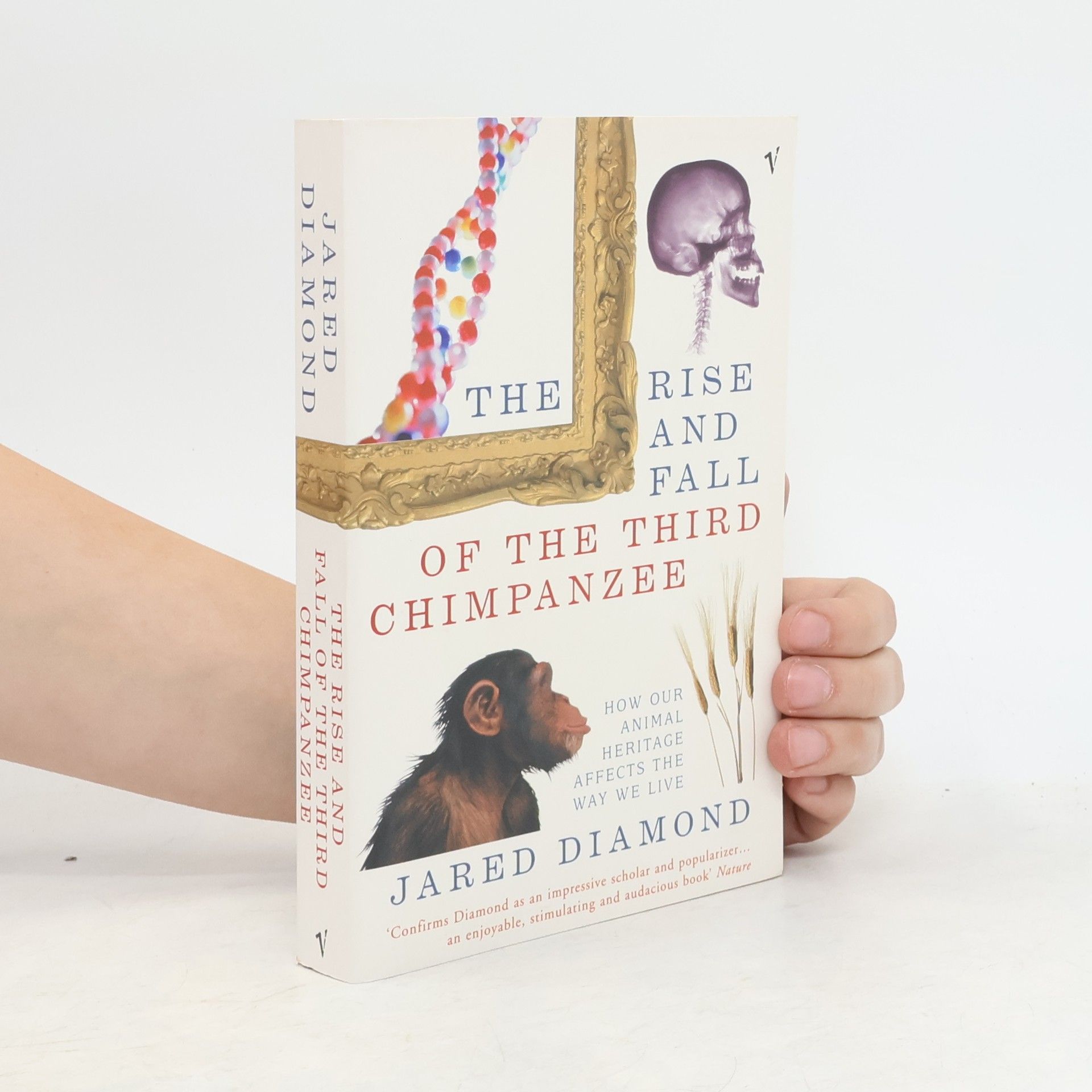 The rise and fall of the third chimpanzee