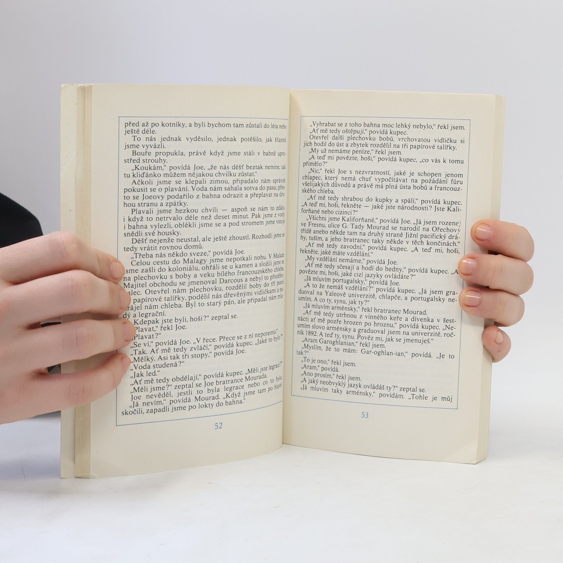 William Saroyan Léto na krásném bílém koni