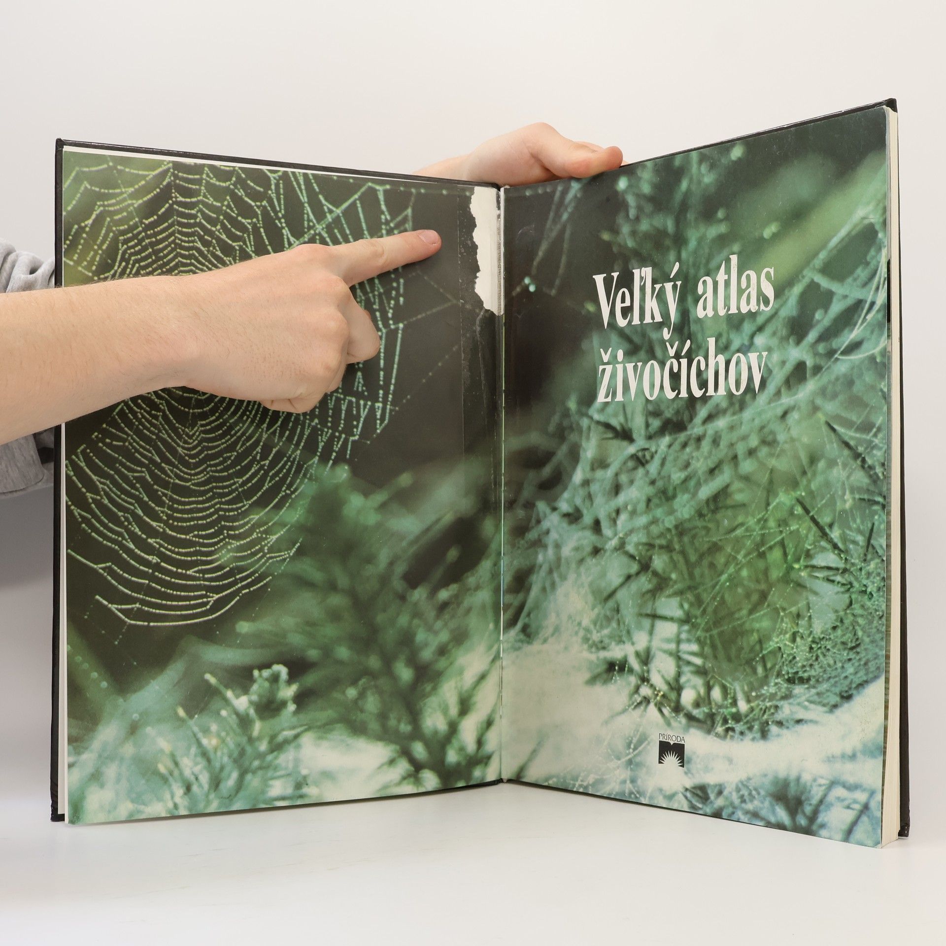 Autorenkollektiv Veľký atlas živočíchov