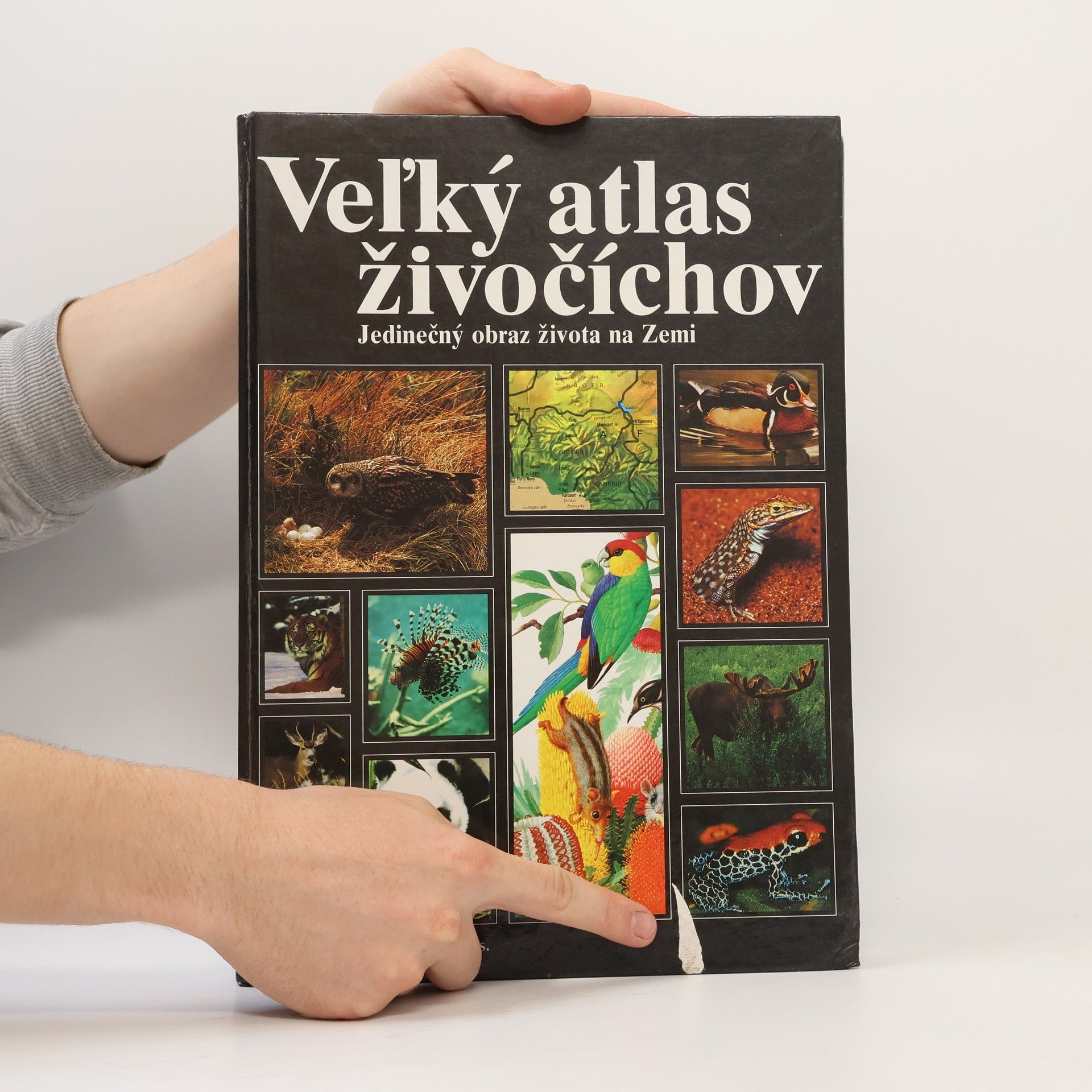Autorenkollektiv Veľký atlas živočíchov