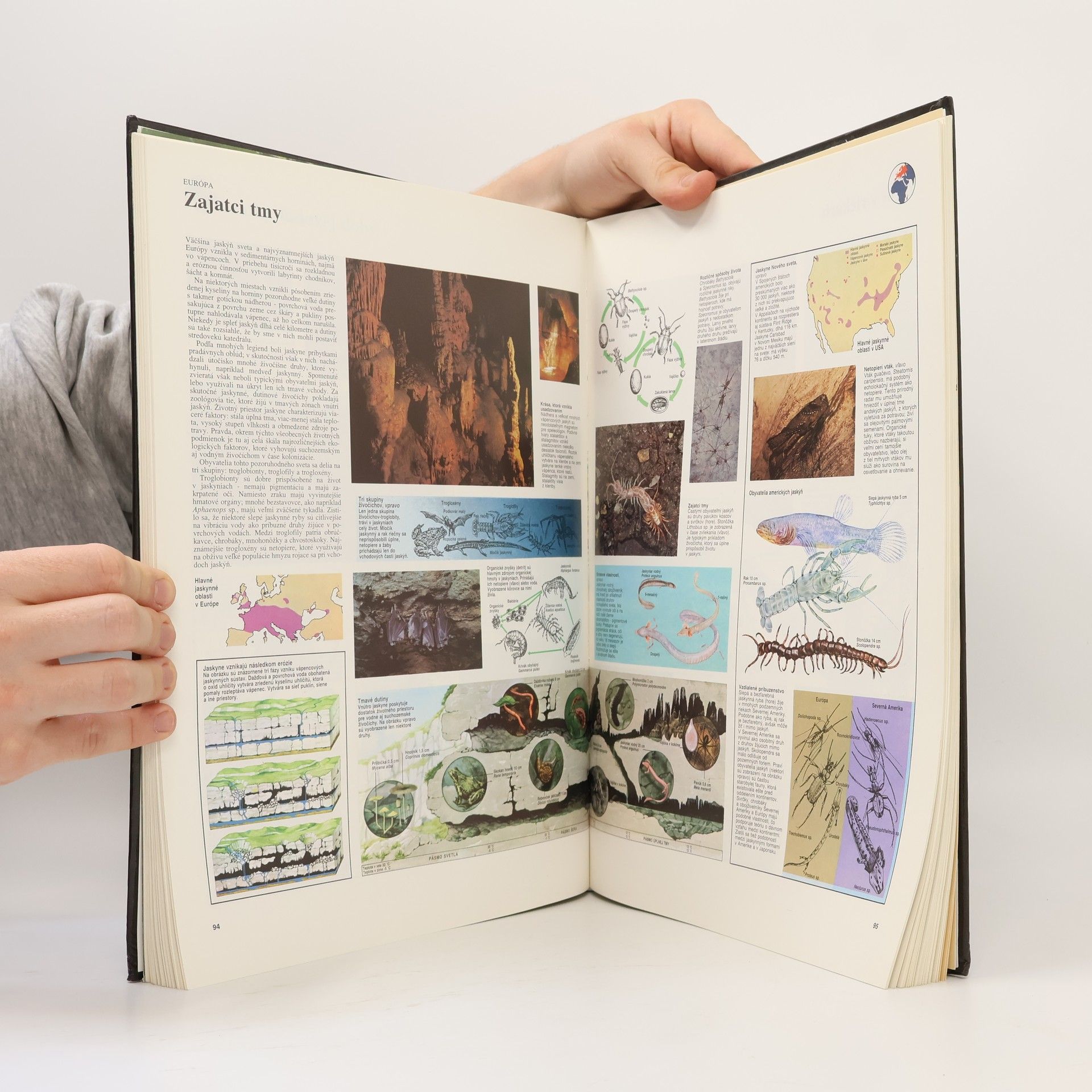 Autorenkollektiv Veľký atlas živočíchov