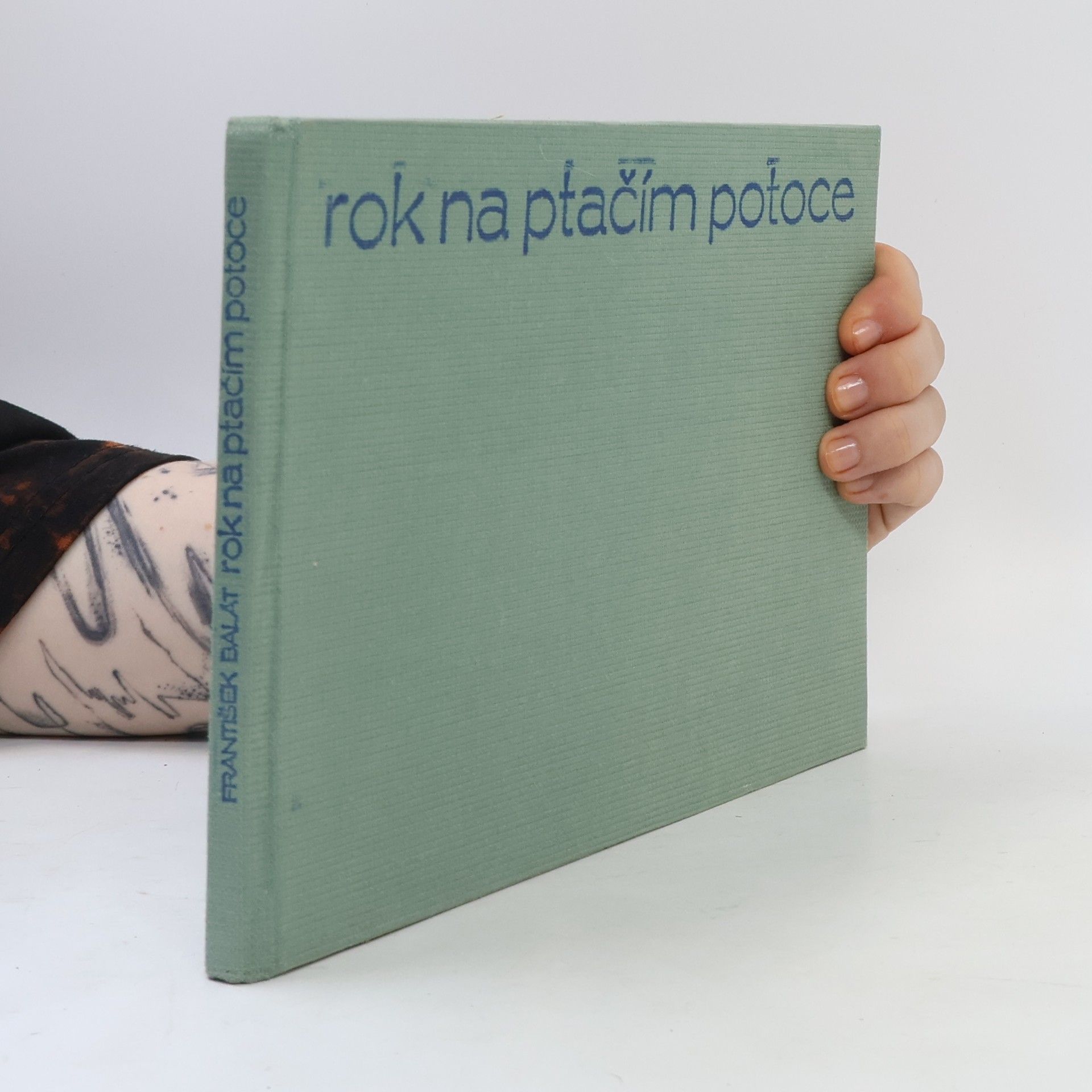 František Balát Rok na ptačím potoce