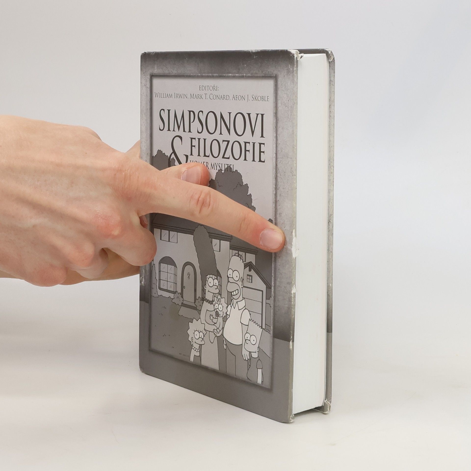 William Irwin Simpsonovi a filozofie: Homer myslitel