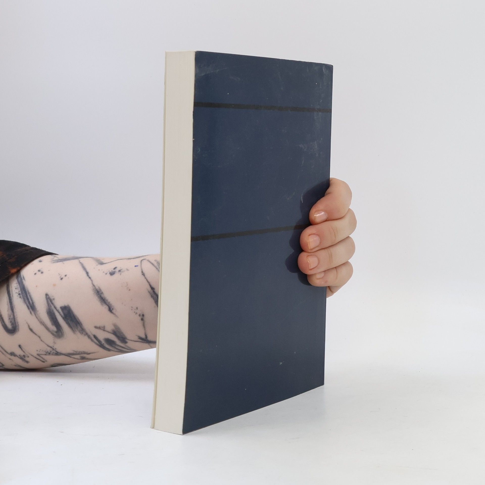 Heinz Buddemeier Illusion und Manipulation