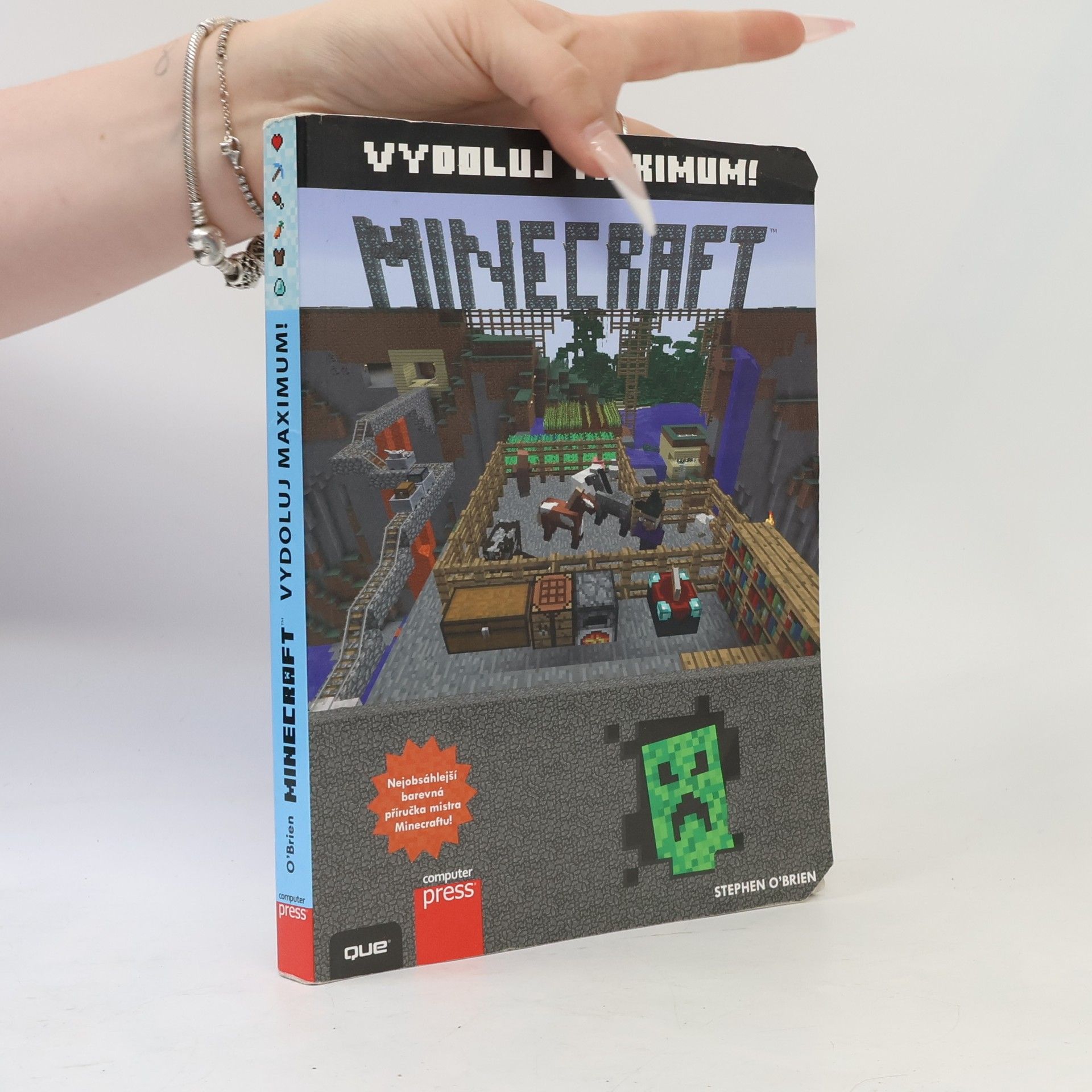 Stephen O'Brien Minecraft