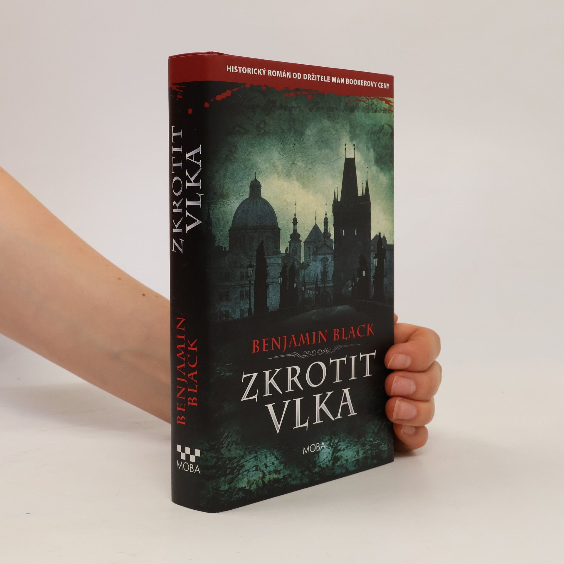 John Banville Zkrotit vlka