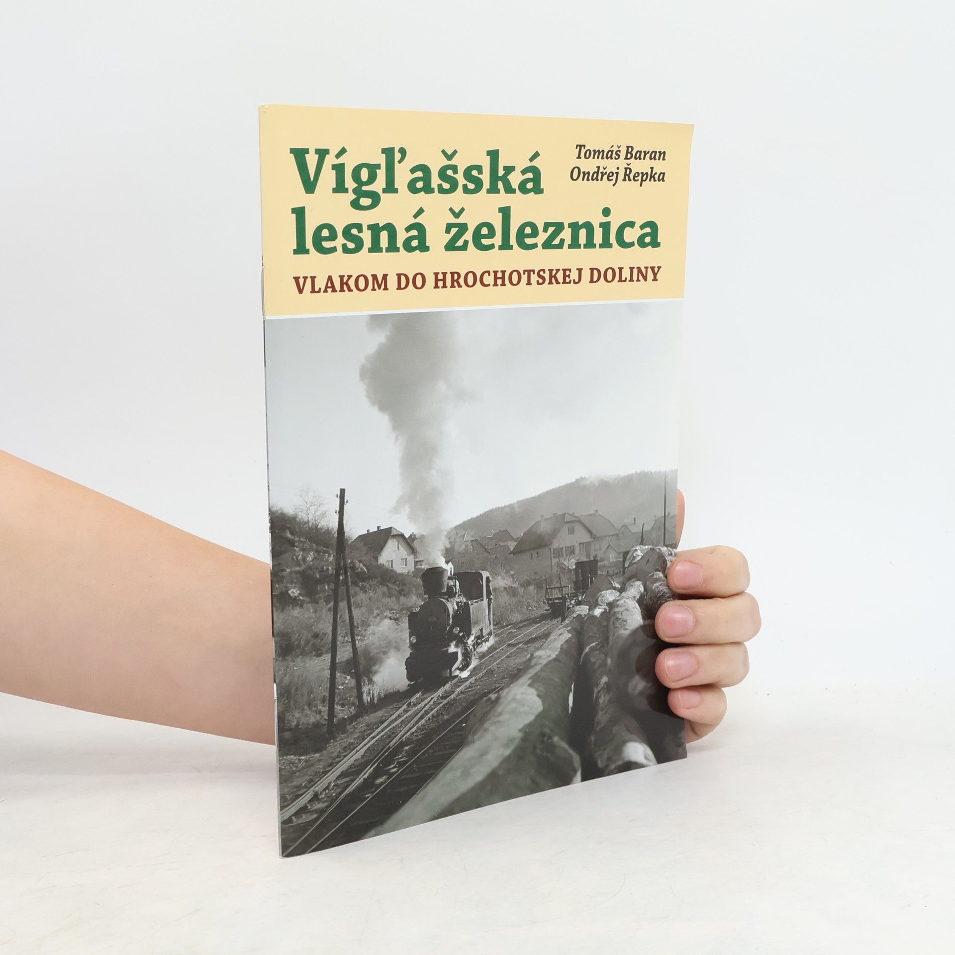 Vígľačská lesná železnica