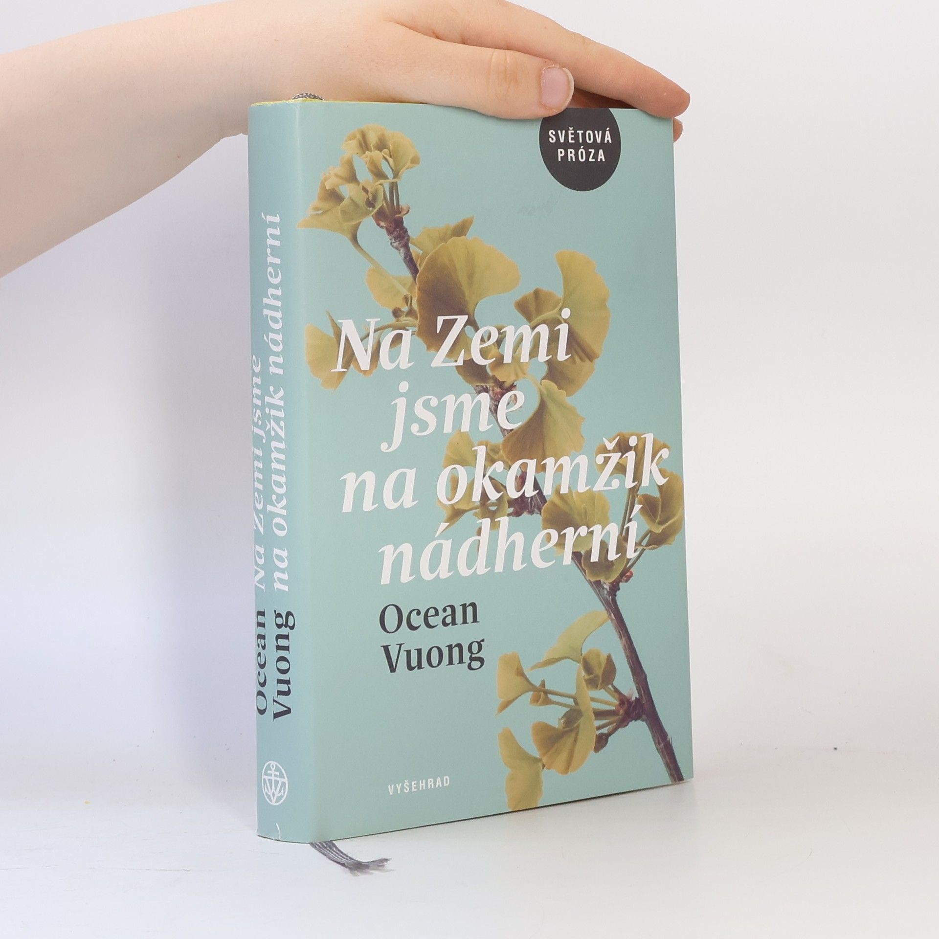 Ocean Vuong Na Zemi jsme na okamžik nádherní