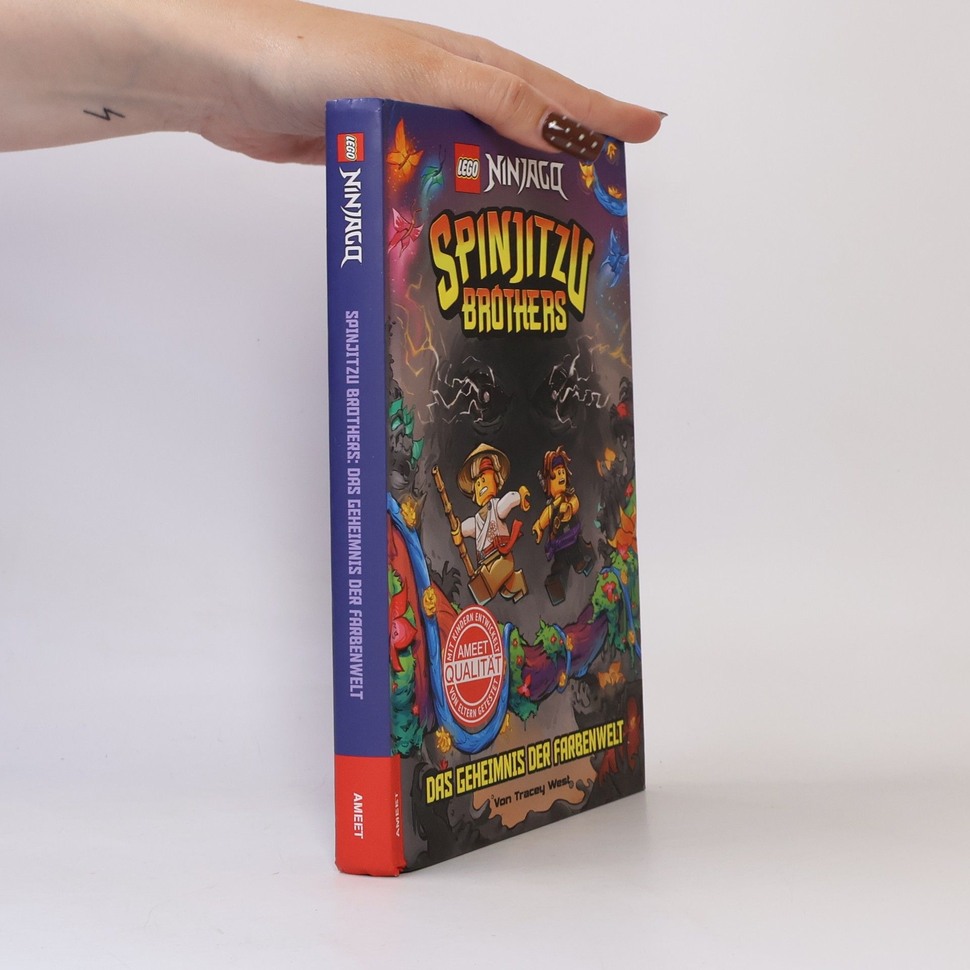 Tracey West LEGO® NINJAGO® - Spinjitzu Brothers - Das Geheimnis der Farbenwelt