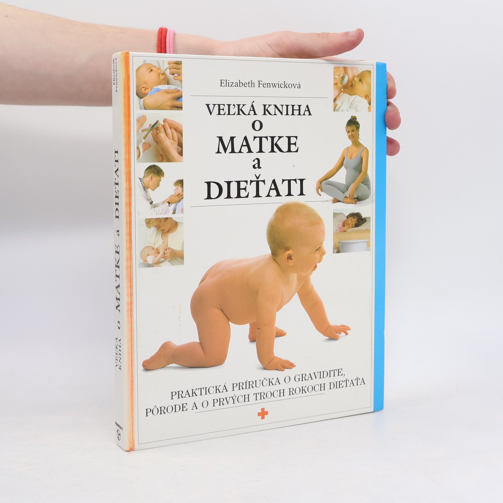 Elizabeth Fenwick Veľká kniha o matke a dieťati