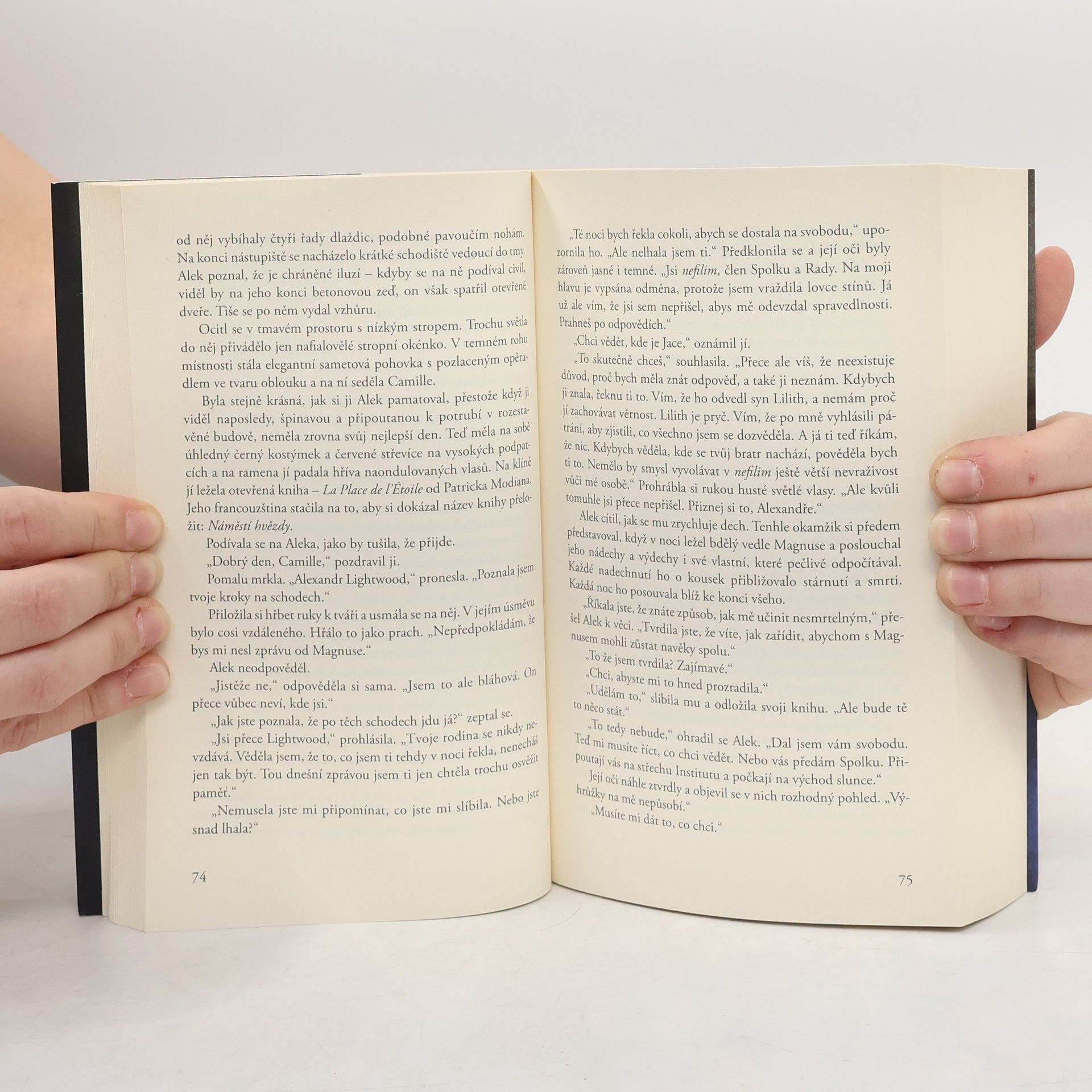 Cassandra Clare Nástroje smtri 5: Město ztracených duší