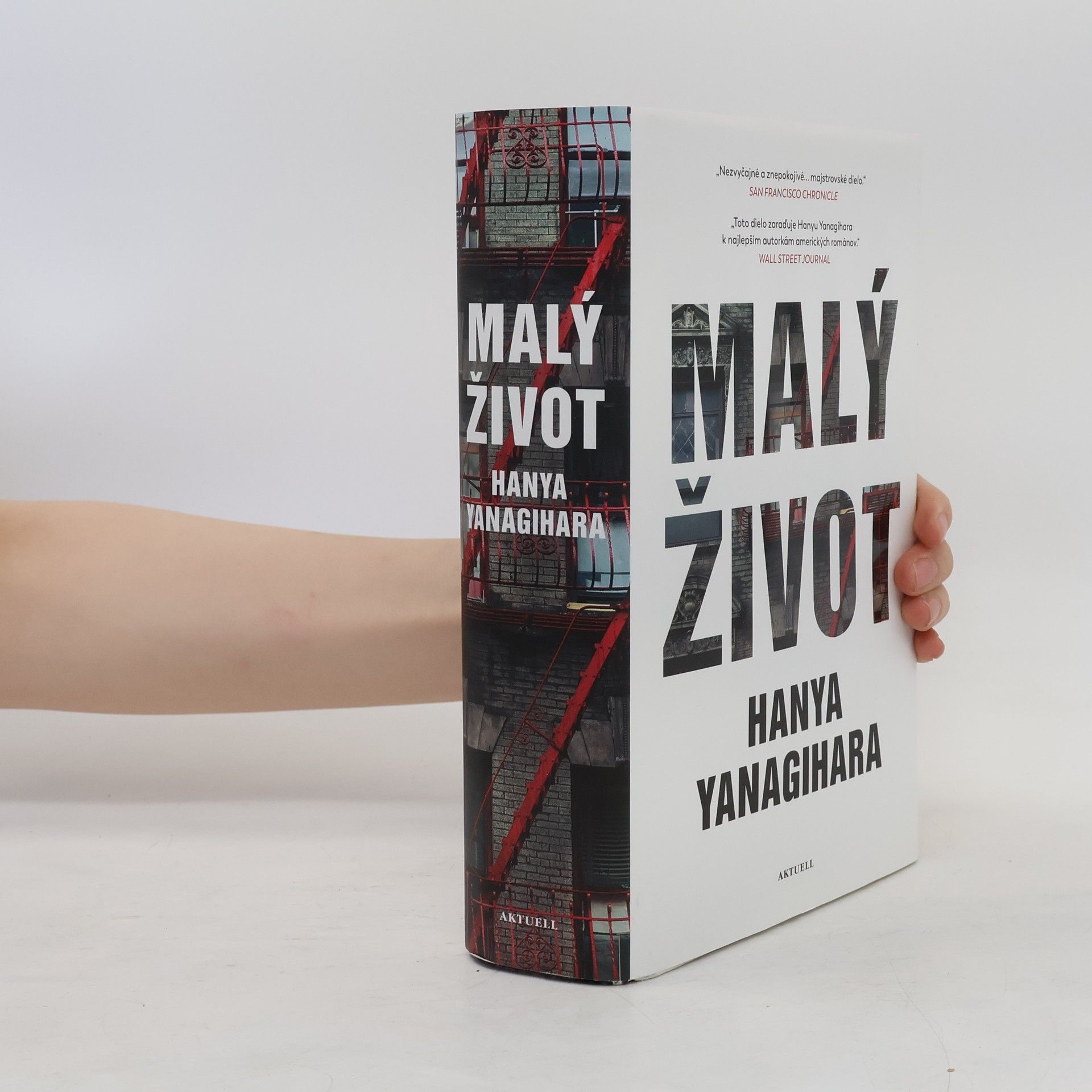 Hanya Yanagihara Malý život