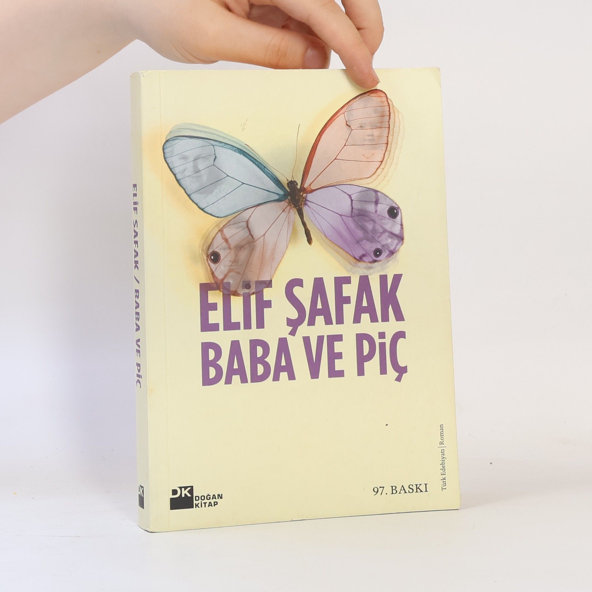 Elif Şafak Baba ve Pic