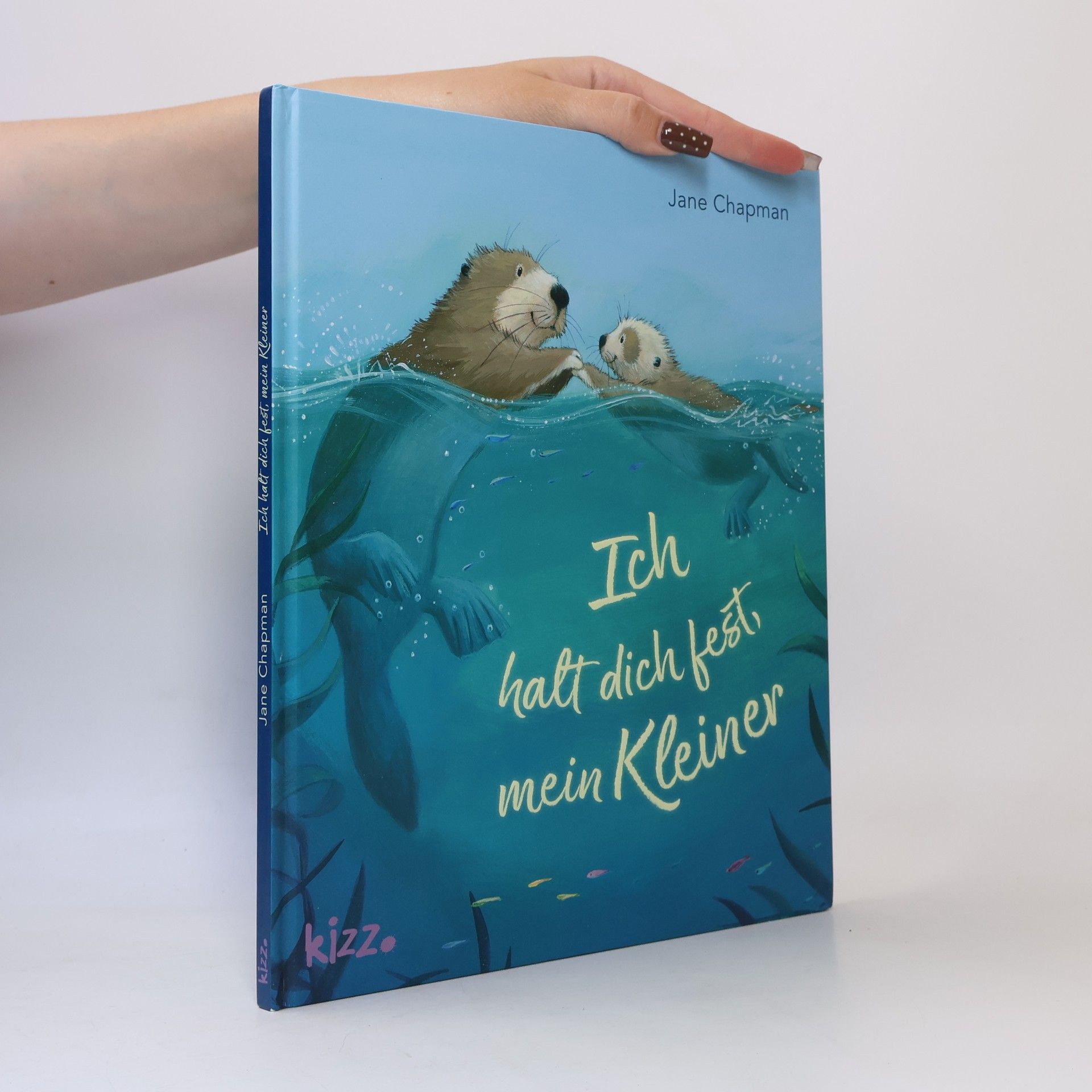 Jane Chapman Ich halt dich fest, mein Kleiner