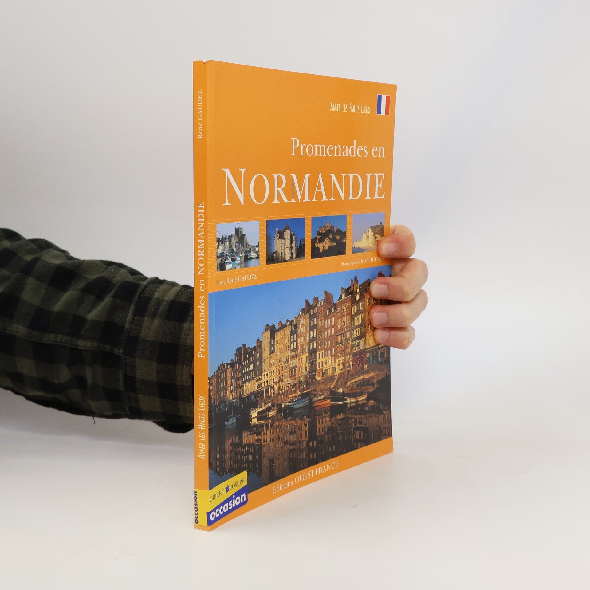 Aimer les Hauts Lieux: Promenades en Normandie