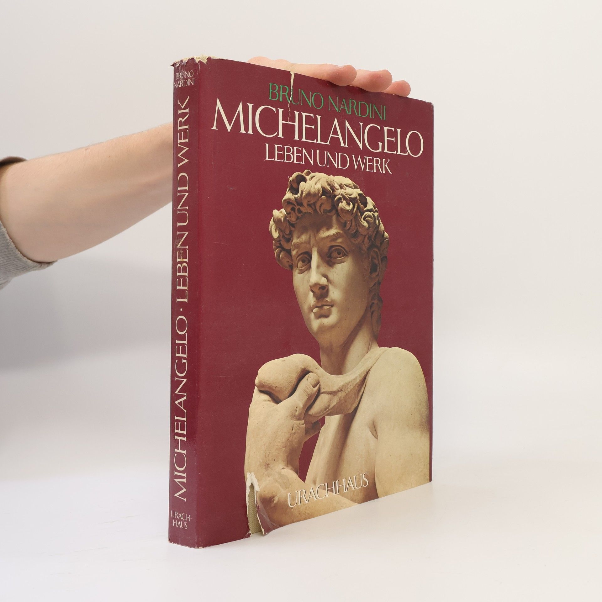 Bruno Nardini Michelangelo