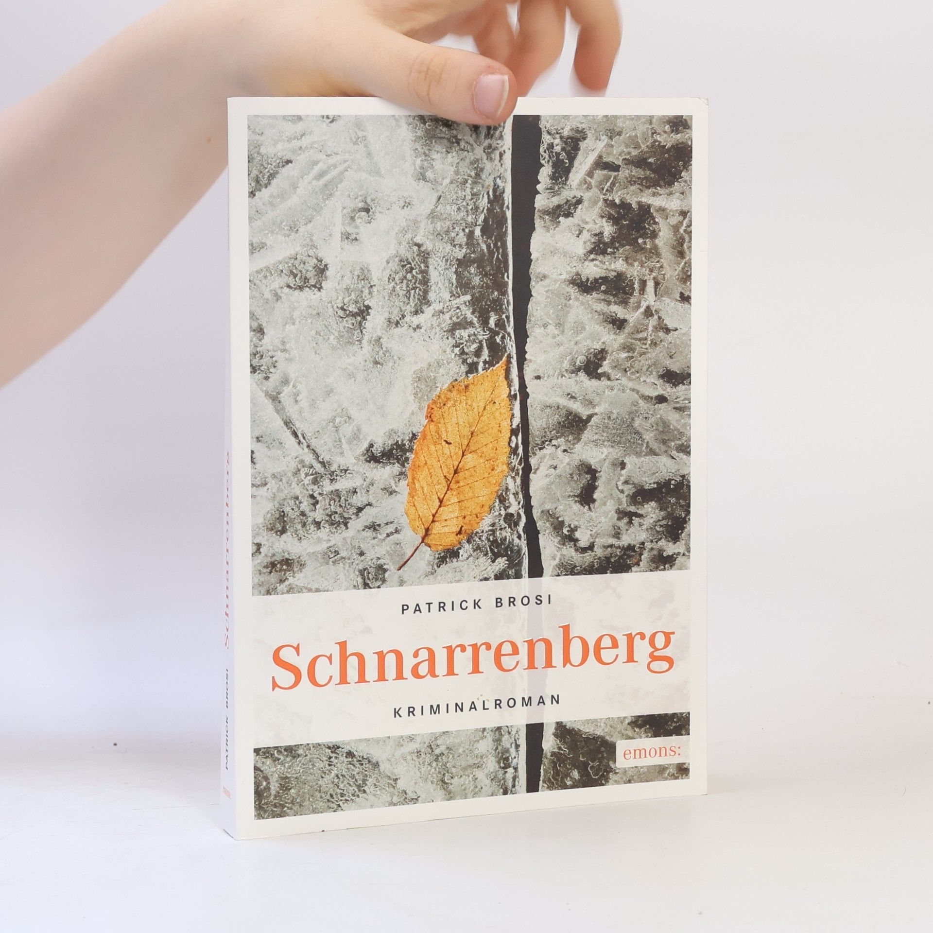Patrick Brosi Schnarrenberg