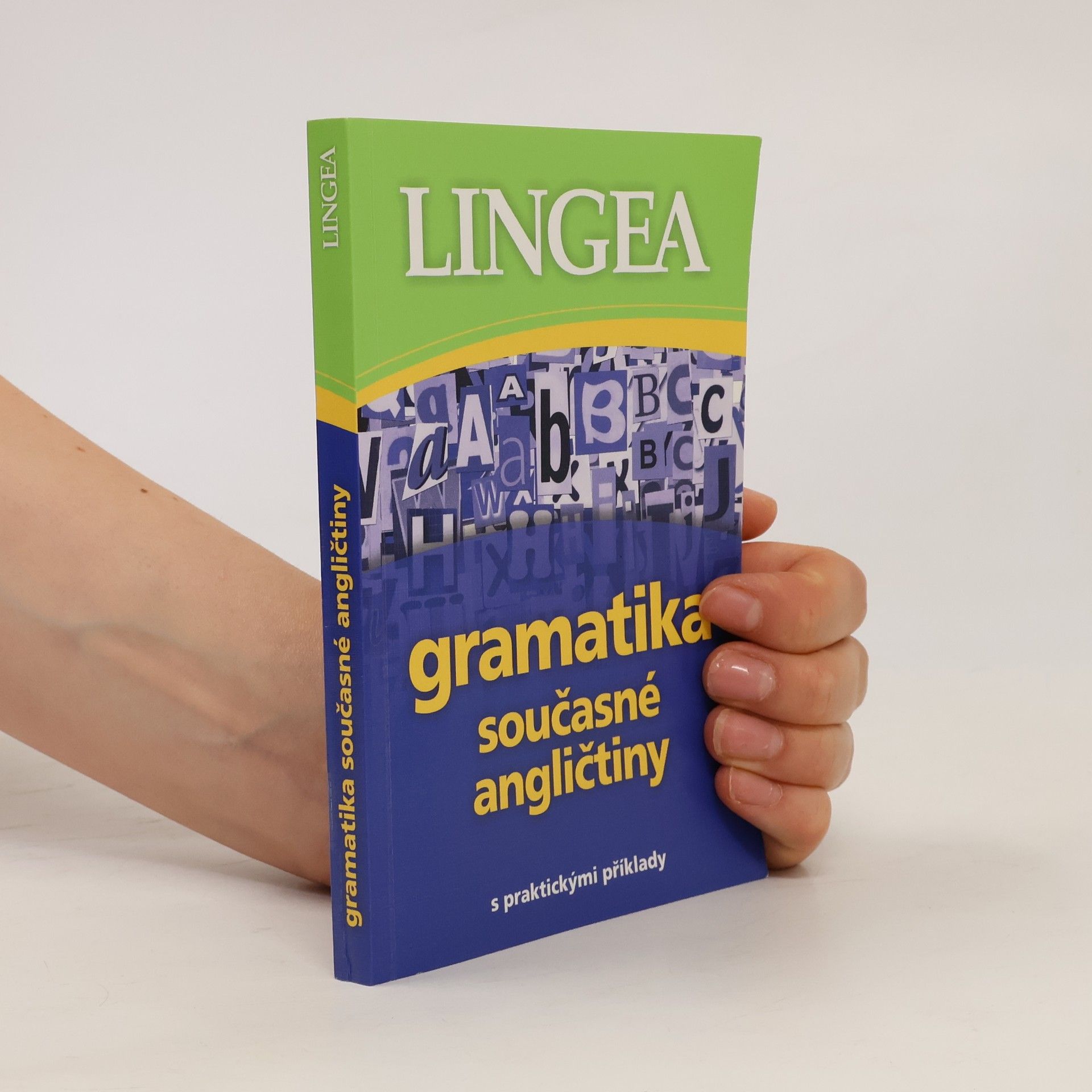 Autorenkollektiv Gramatika současné angličtiny