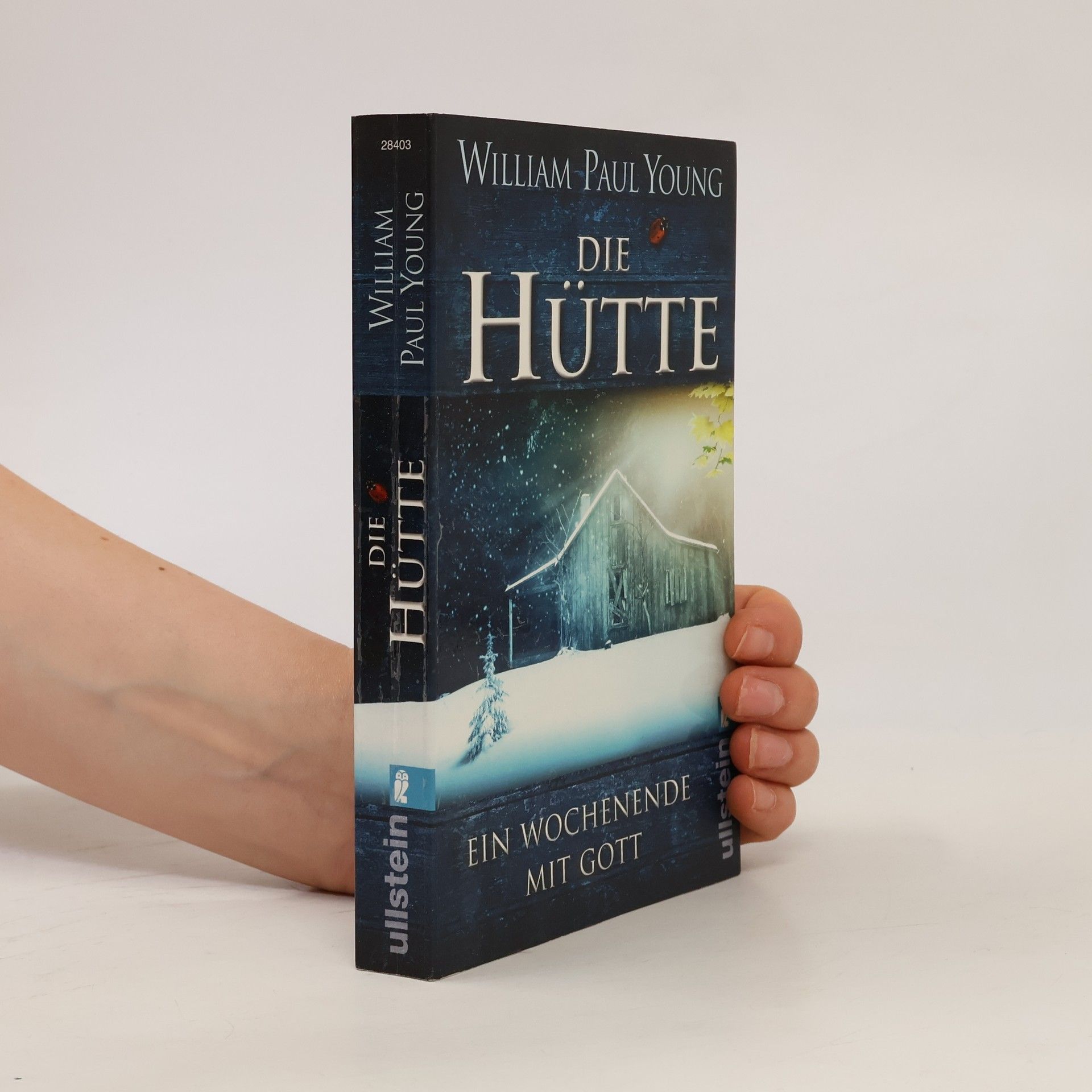 William P. Young Die Hütte