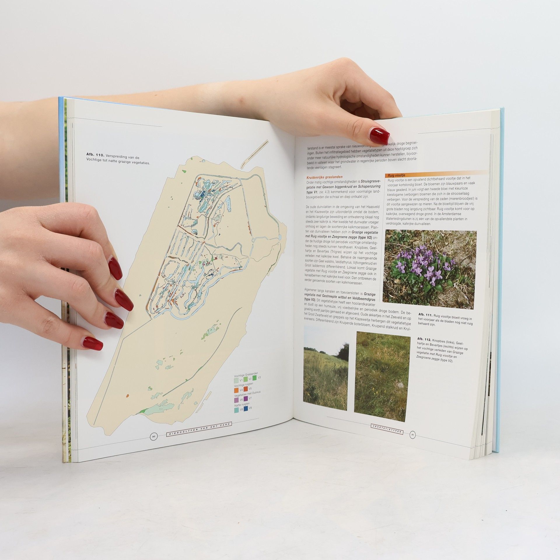 Mark van Til Vegetatie en Landschap van de Amsterdamse Waterleidingduinen