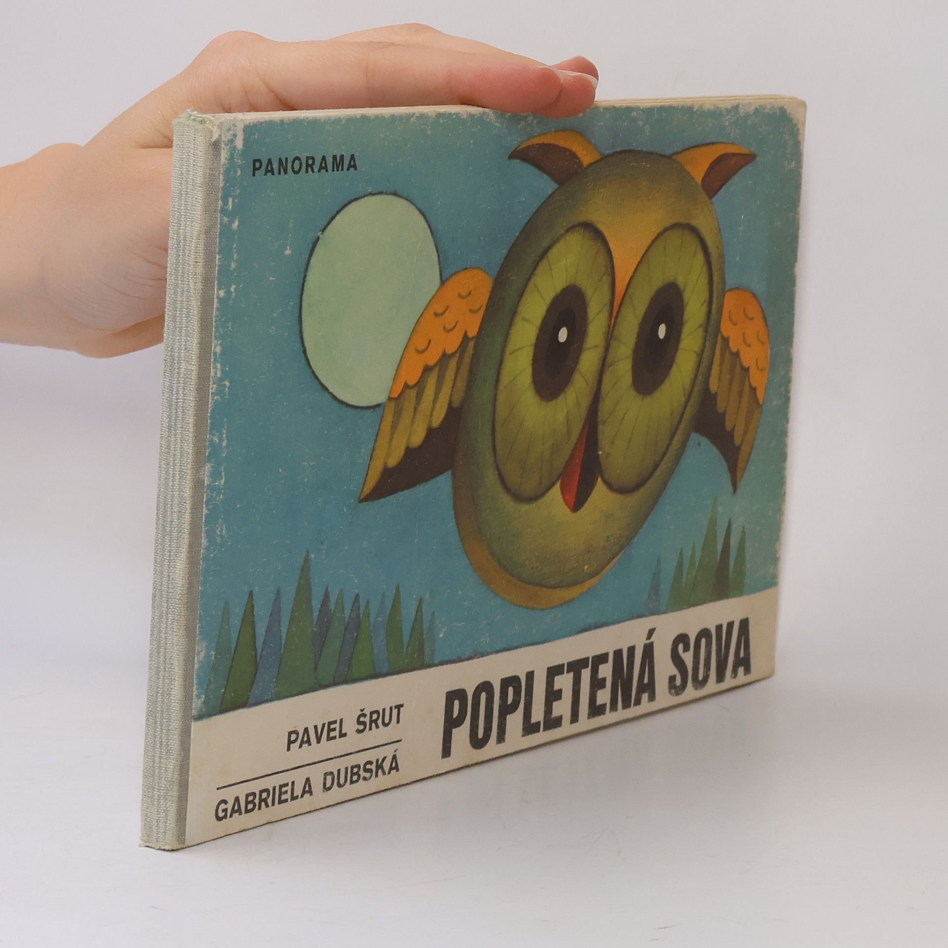 Gabriela Dubská Popletená sova