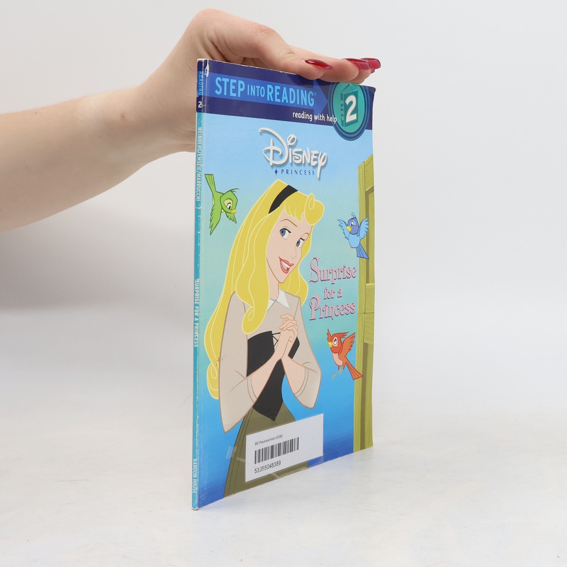 Autorenkollektiv Surprise for a princess