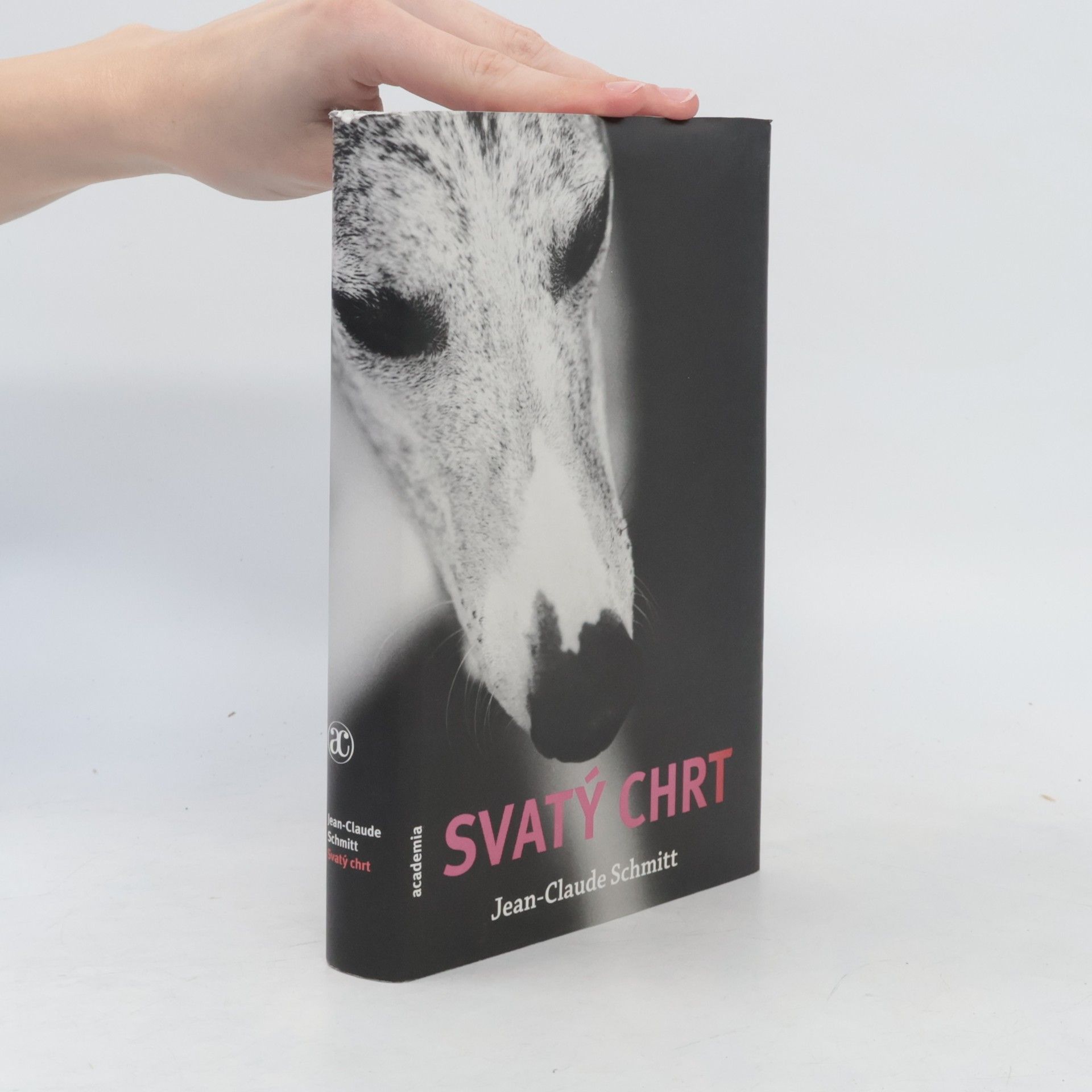 Jean Claude Schmitt Svatý chrt : Guinefort, léčitel dětí ze 13. století