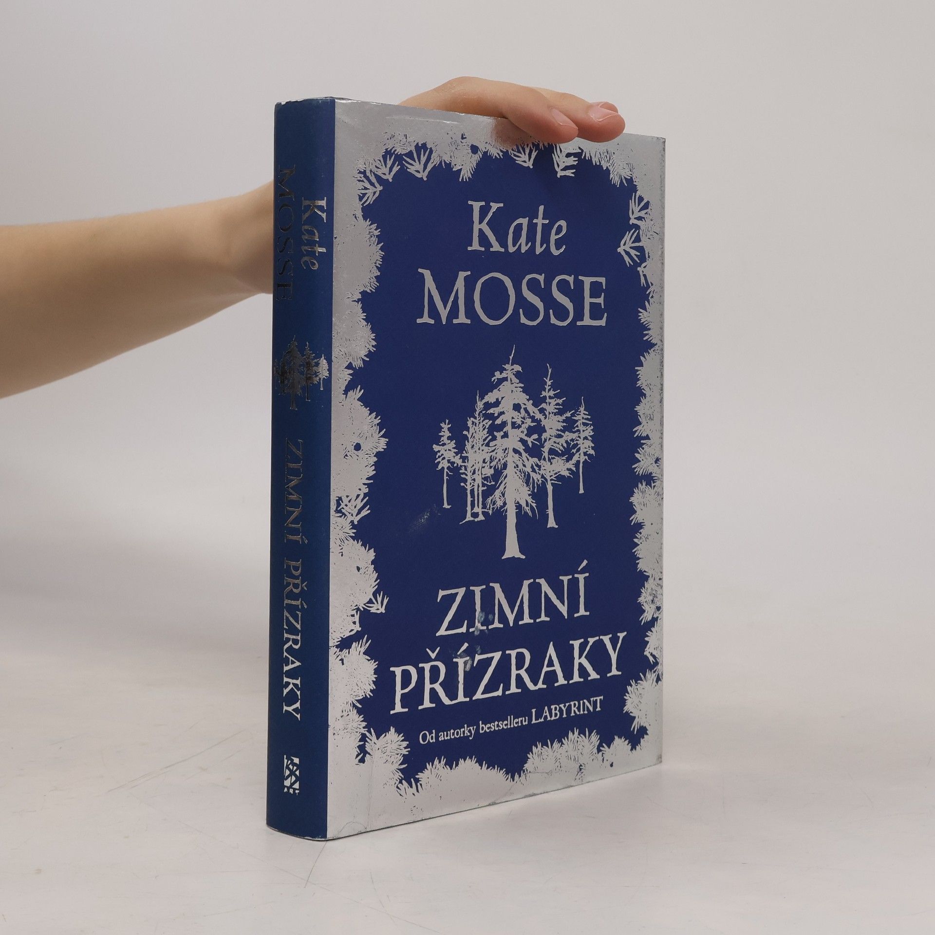 Kate Mosse Zimní přízraky