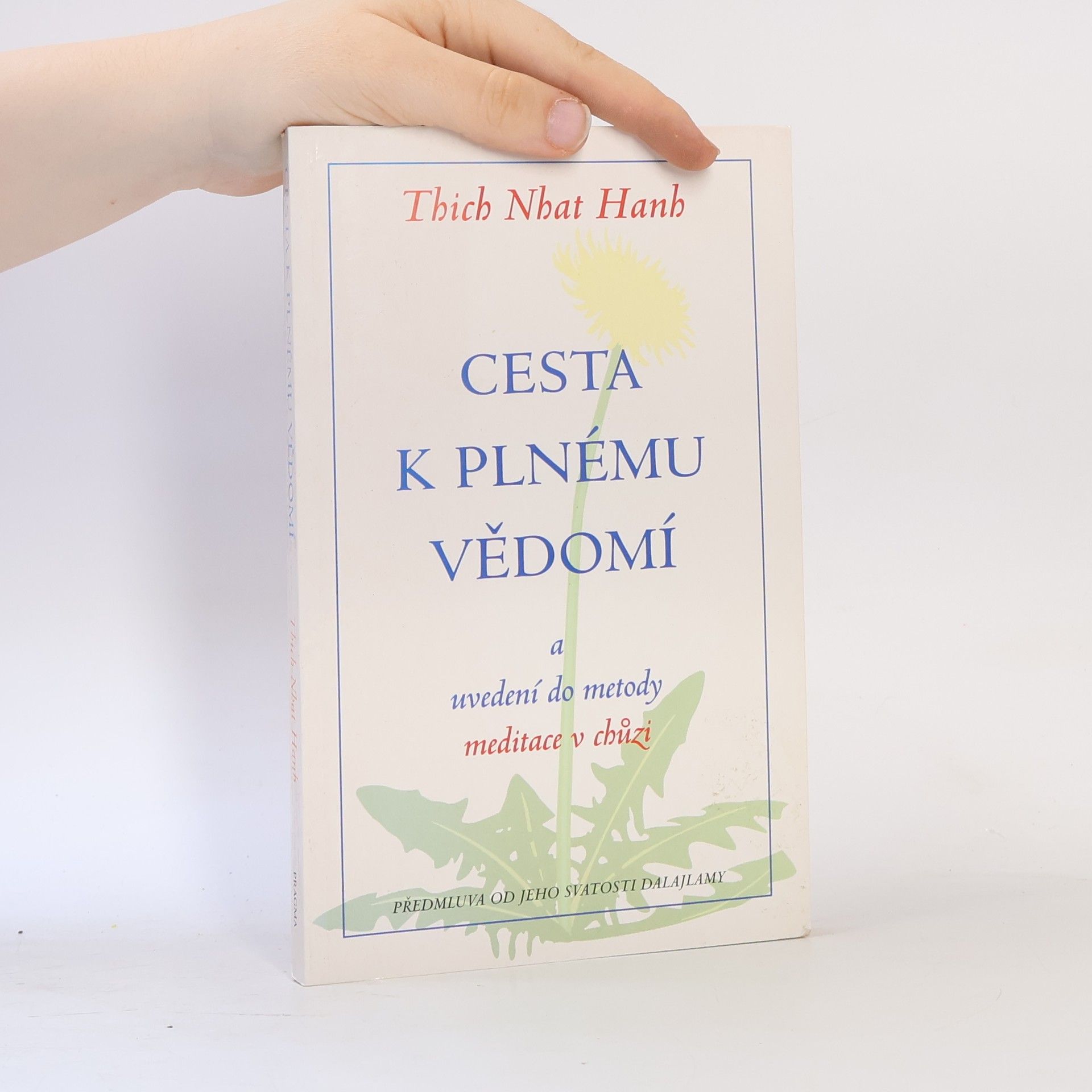 Hạnh Nhat Cesta k plnému vědomí a uvedení do metody meditace v chůzi