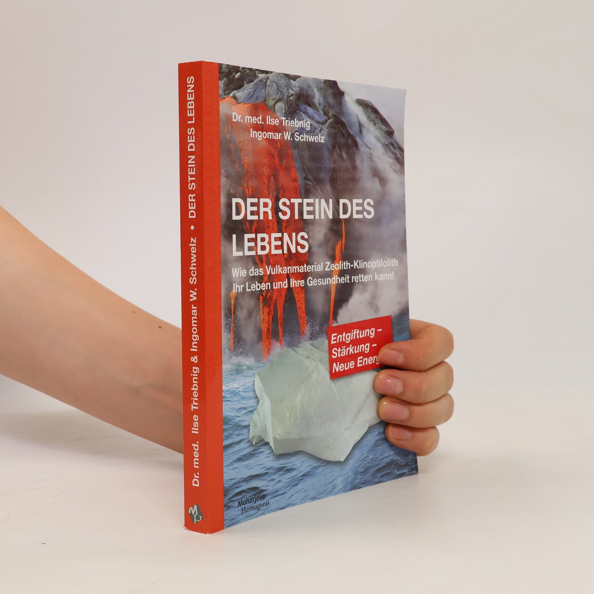 Ilse Triebnig Der Stein des Lebens
