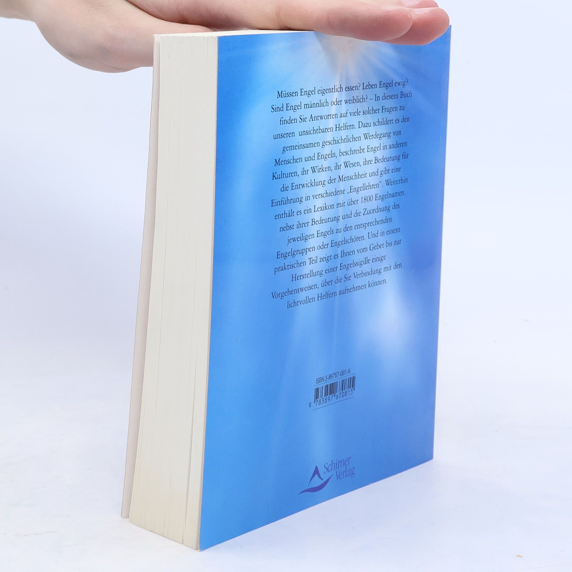 Jeanne Ruland Das große Buch der Engel