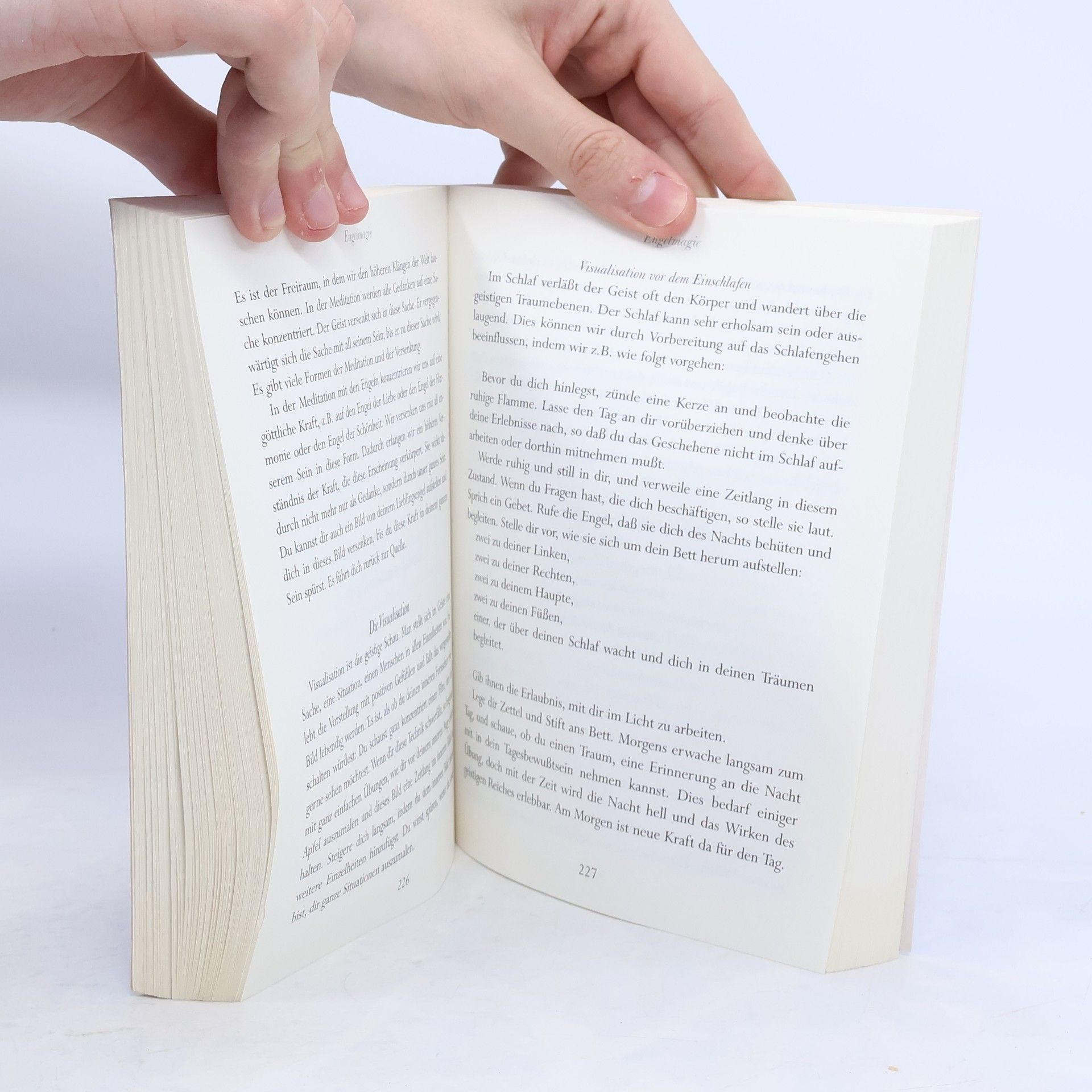 Jeanne Ruland Das große Buch der Engel