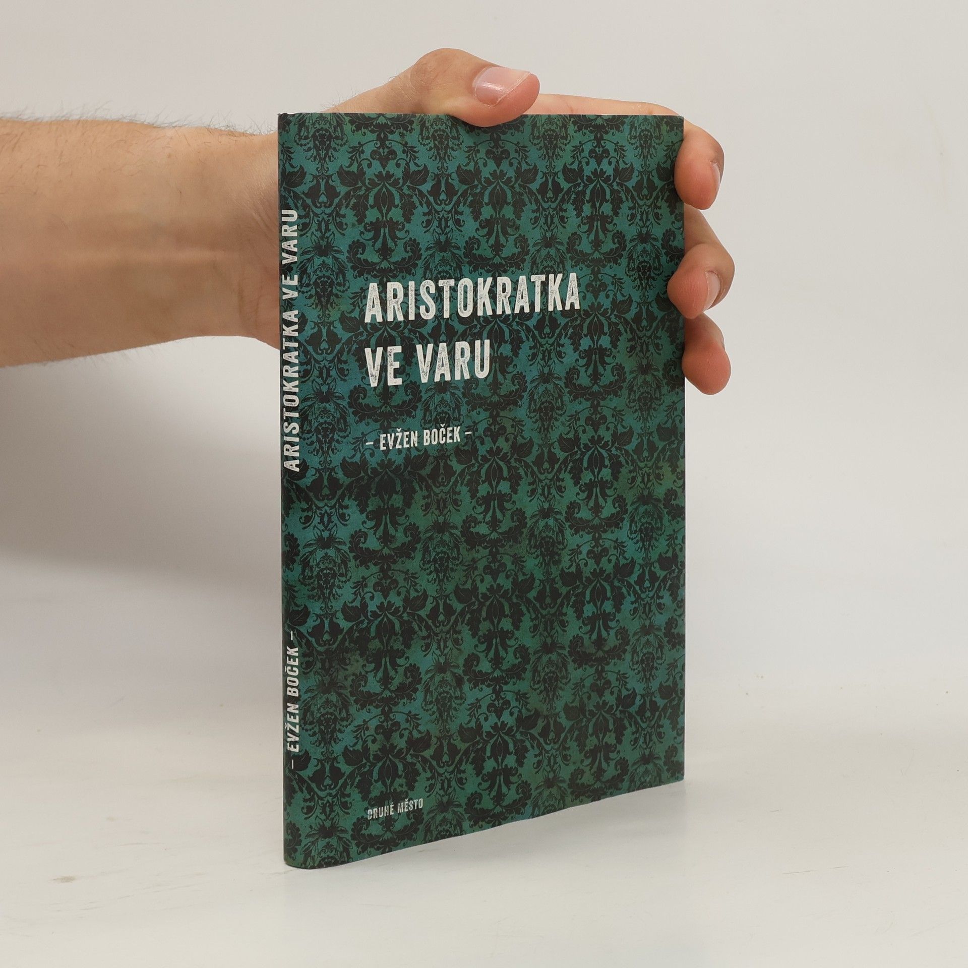 Evžen Boček Aristokratka ve varu
