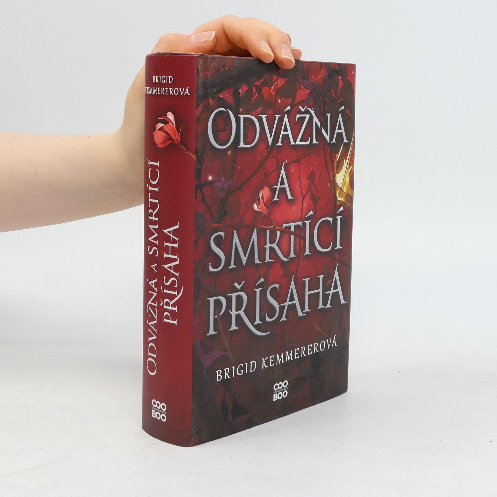 Brigid Kemmererová Odvážná a smrtící přísaha