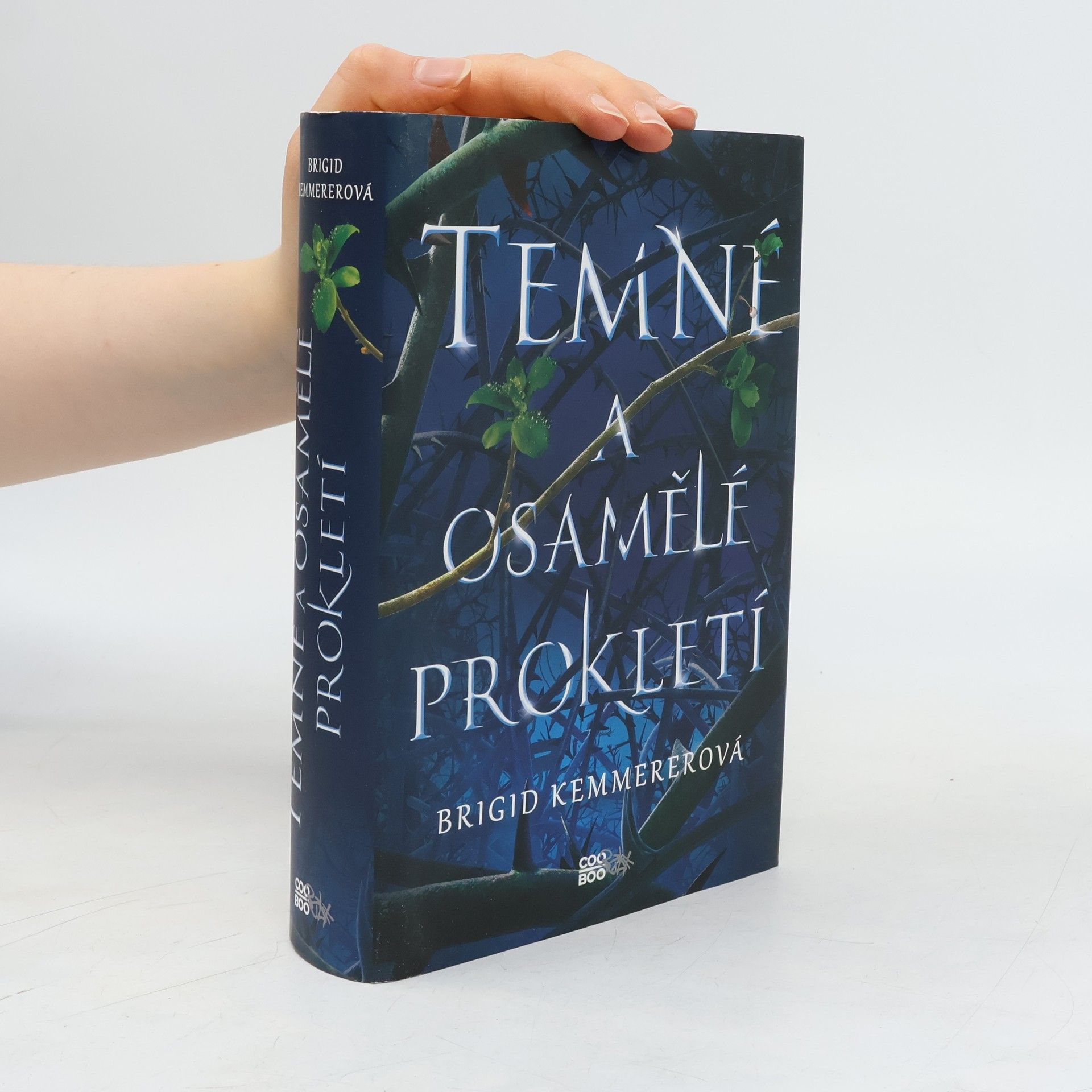 Brigid Kemmererová Temné a osamělé prokletí