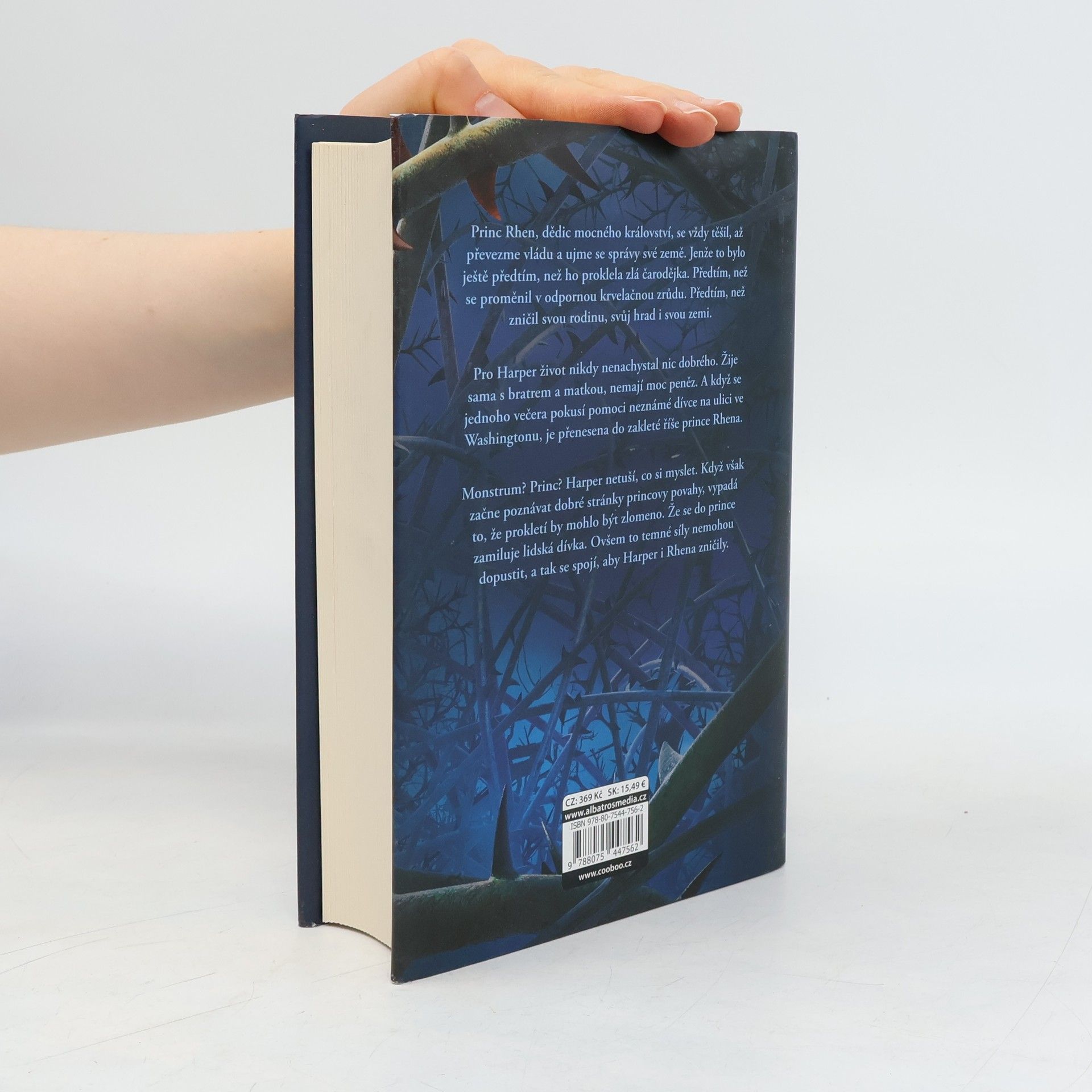 Brigid Kemmerer Temné a osamělé prokletí