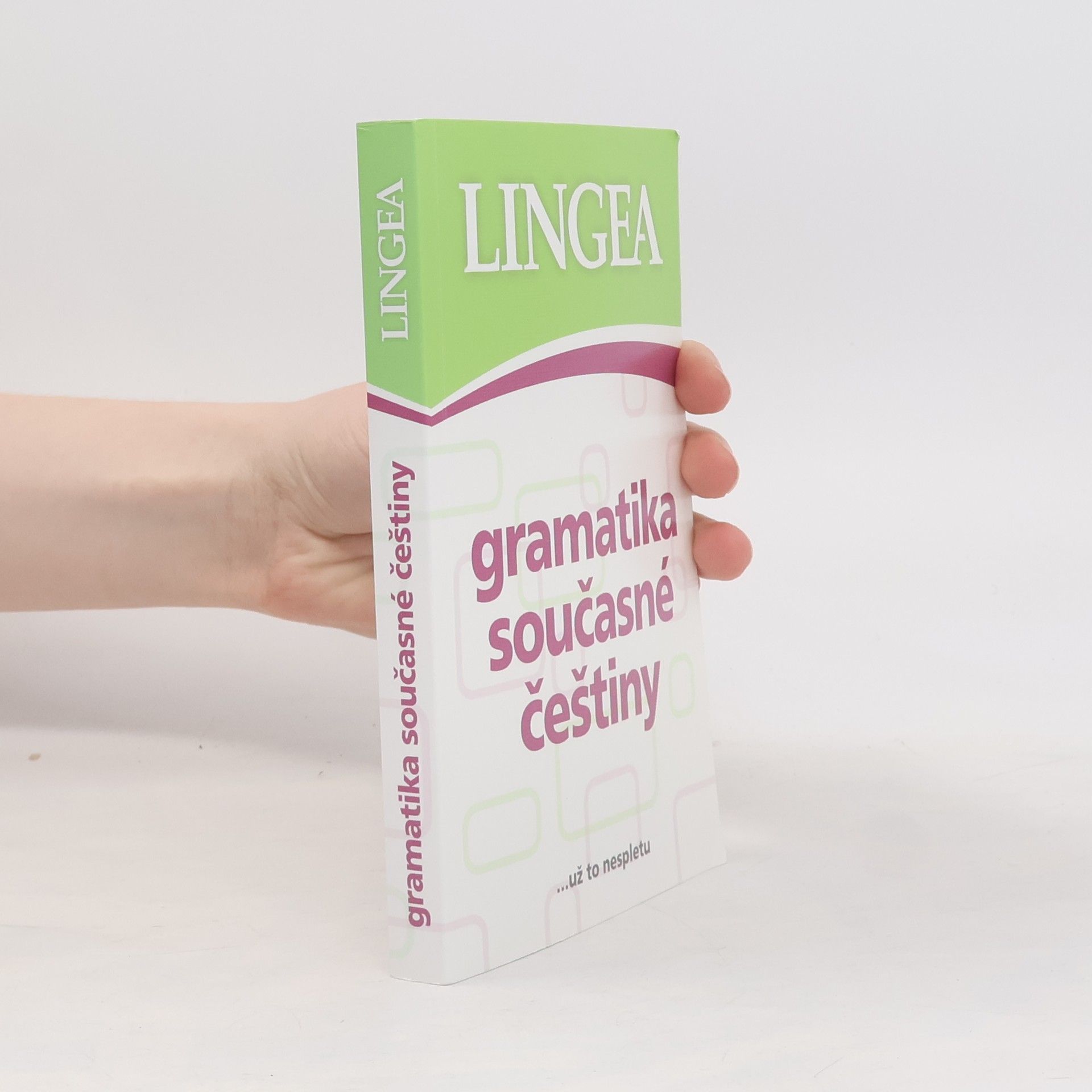 Autorenkollektiv Gramatika současné češtiny
