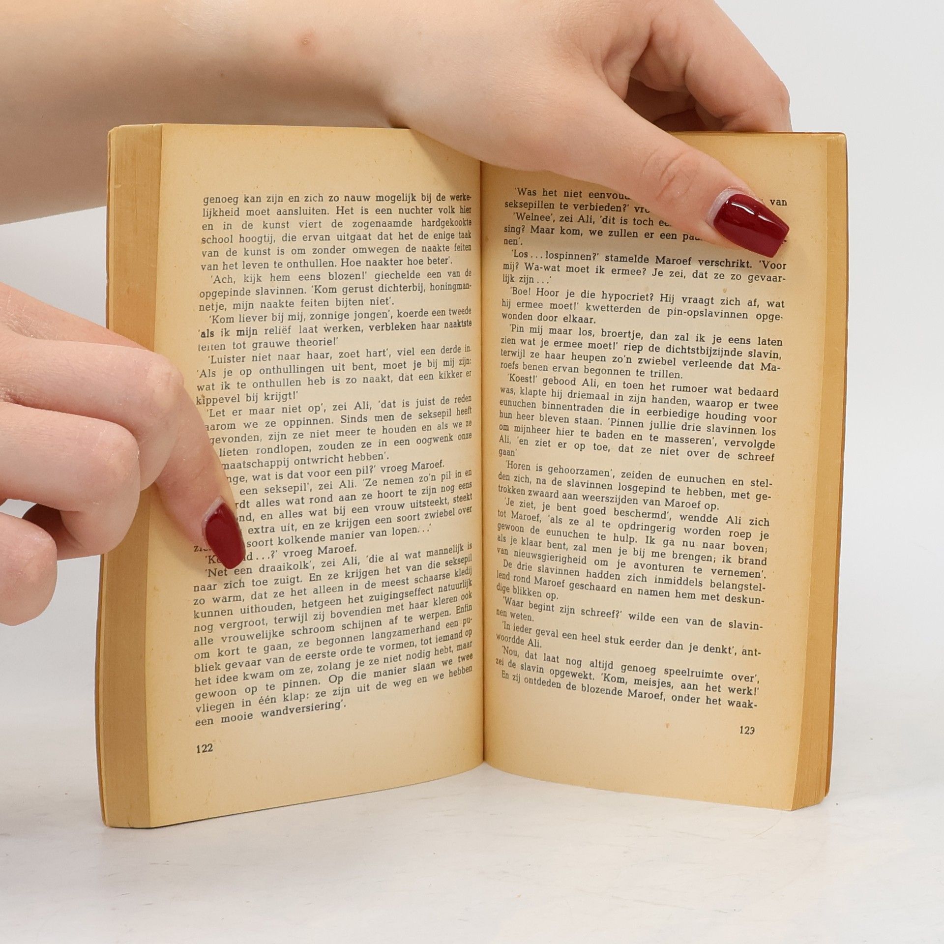 Paul Rodenko De gestolen minnaar